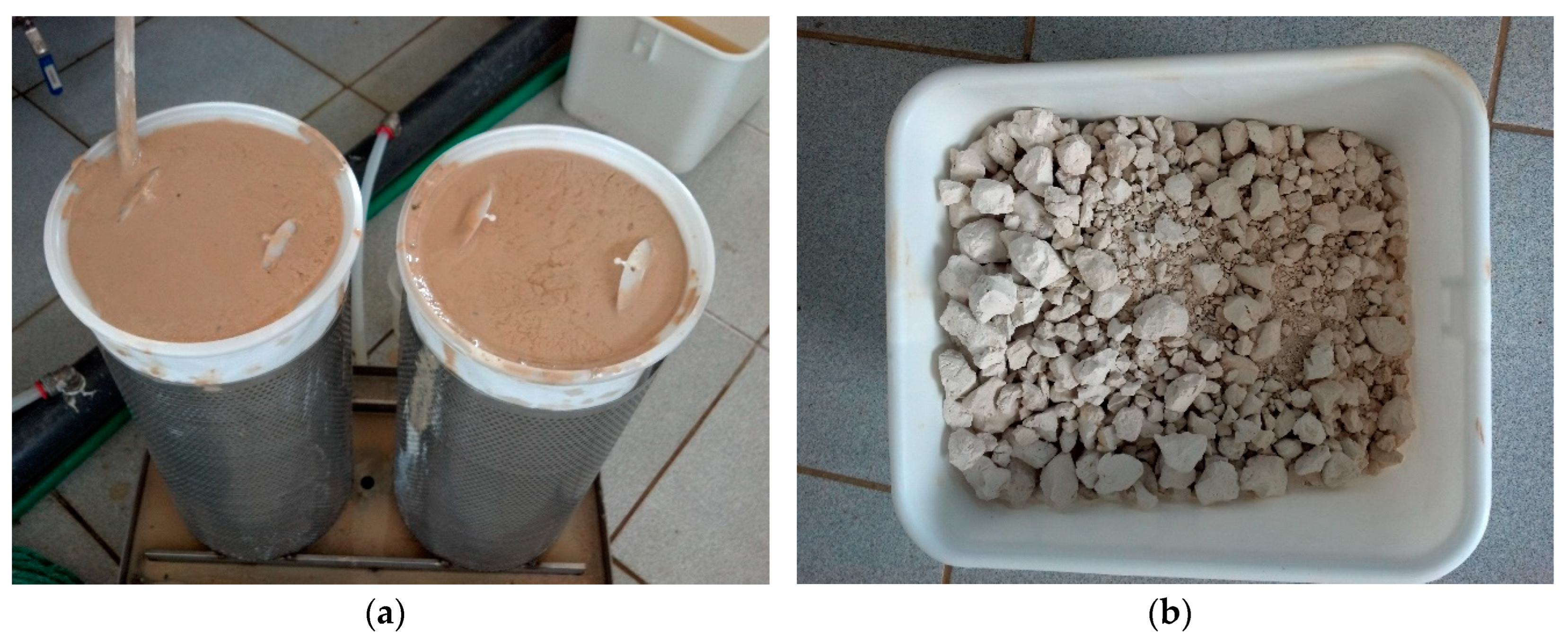 Preprints 105263 g006