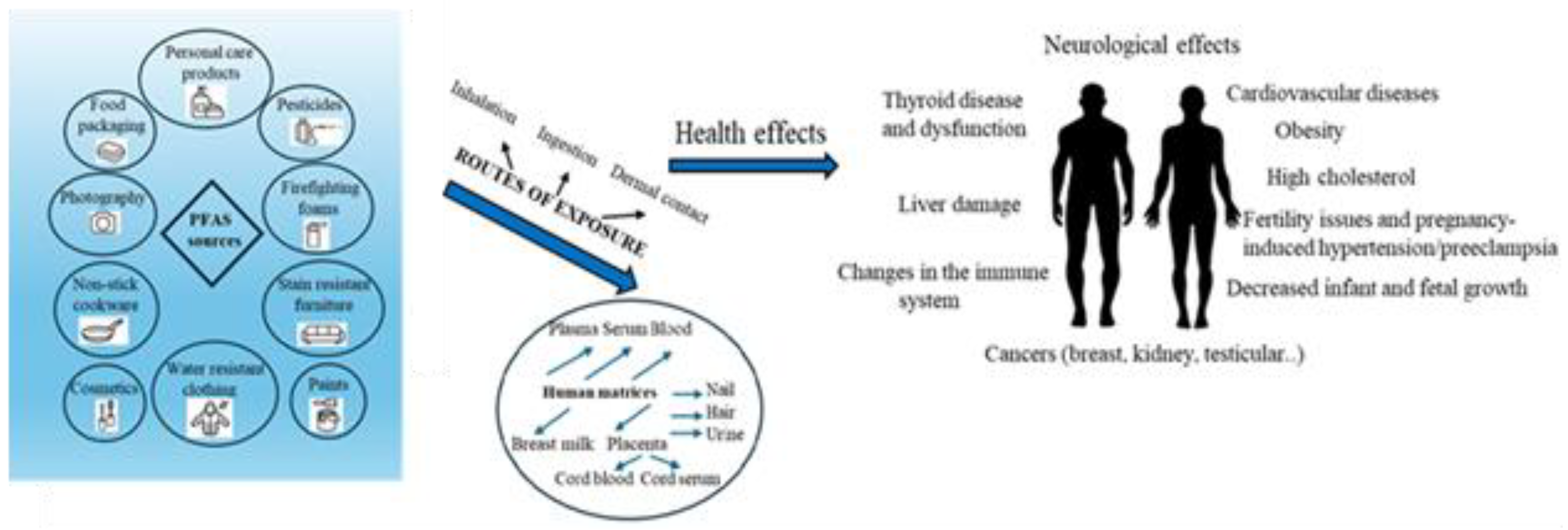 Preprints 150720 g003