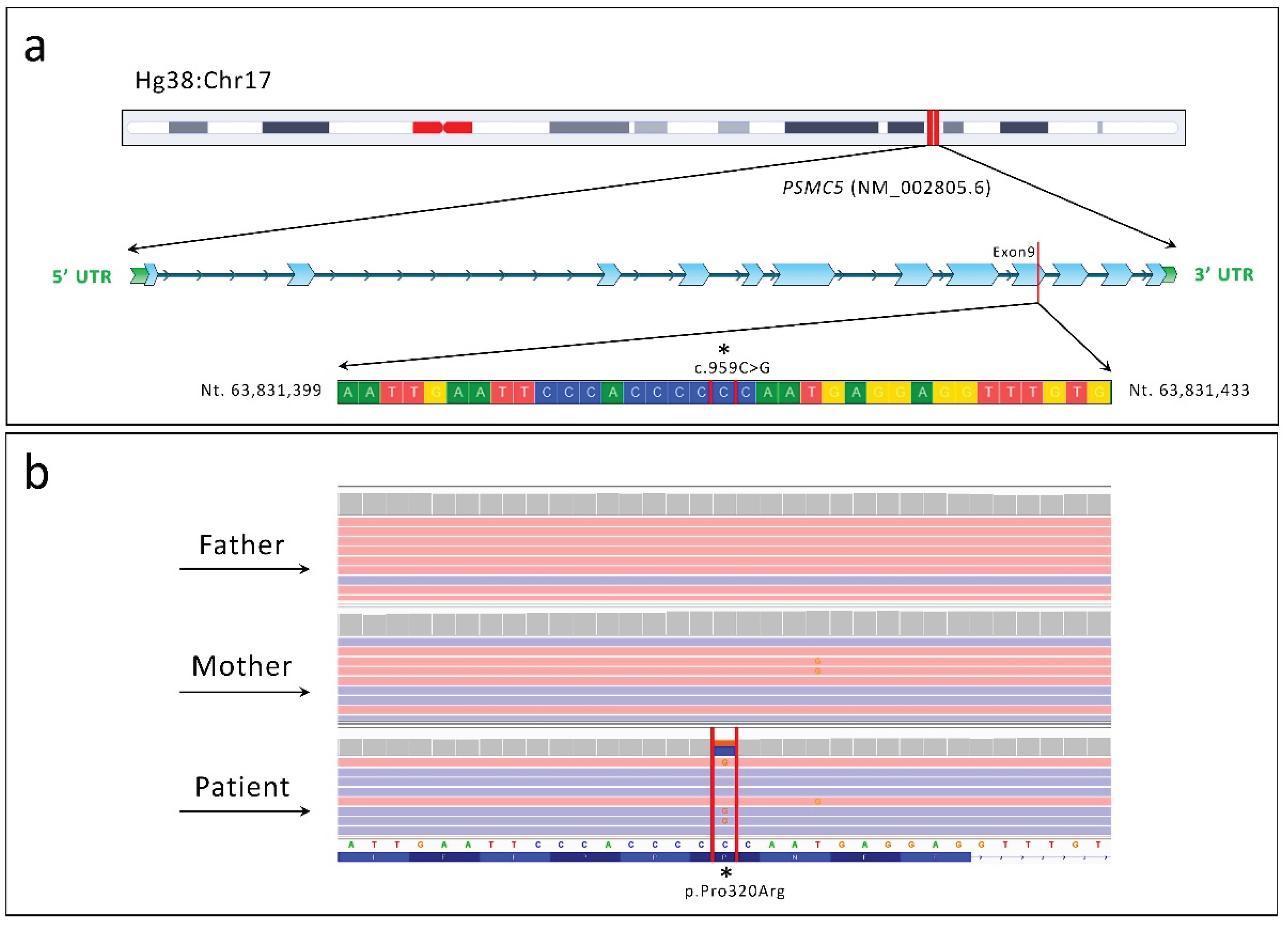 Preprints 163110 g001