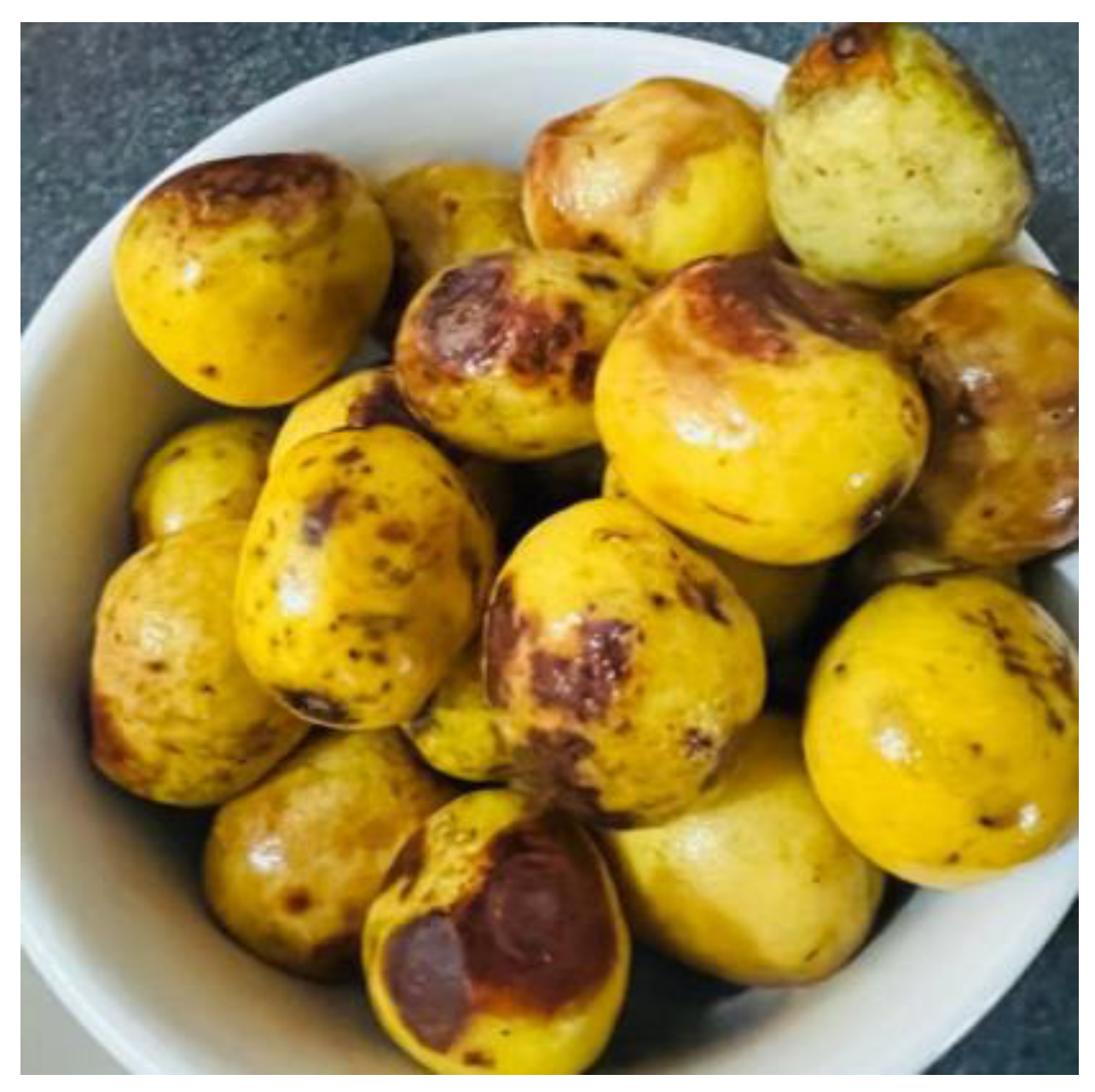 Preprints 138853 g002