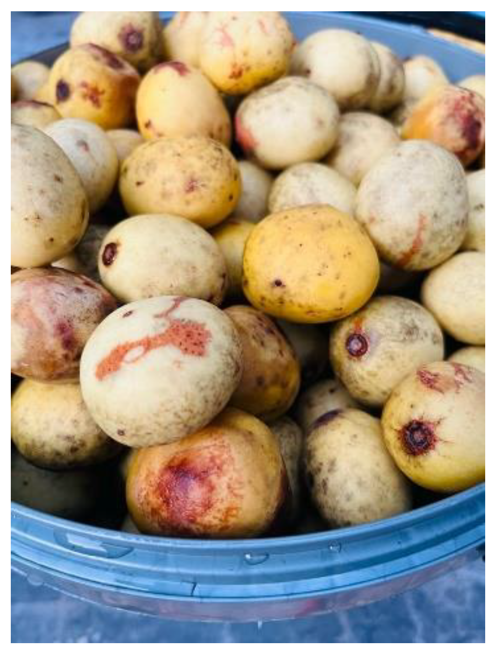 Preprints 138853 g003