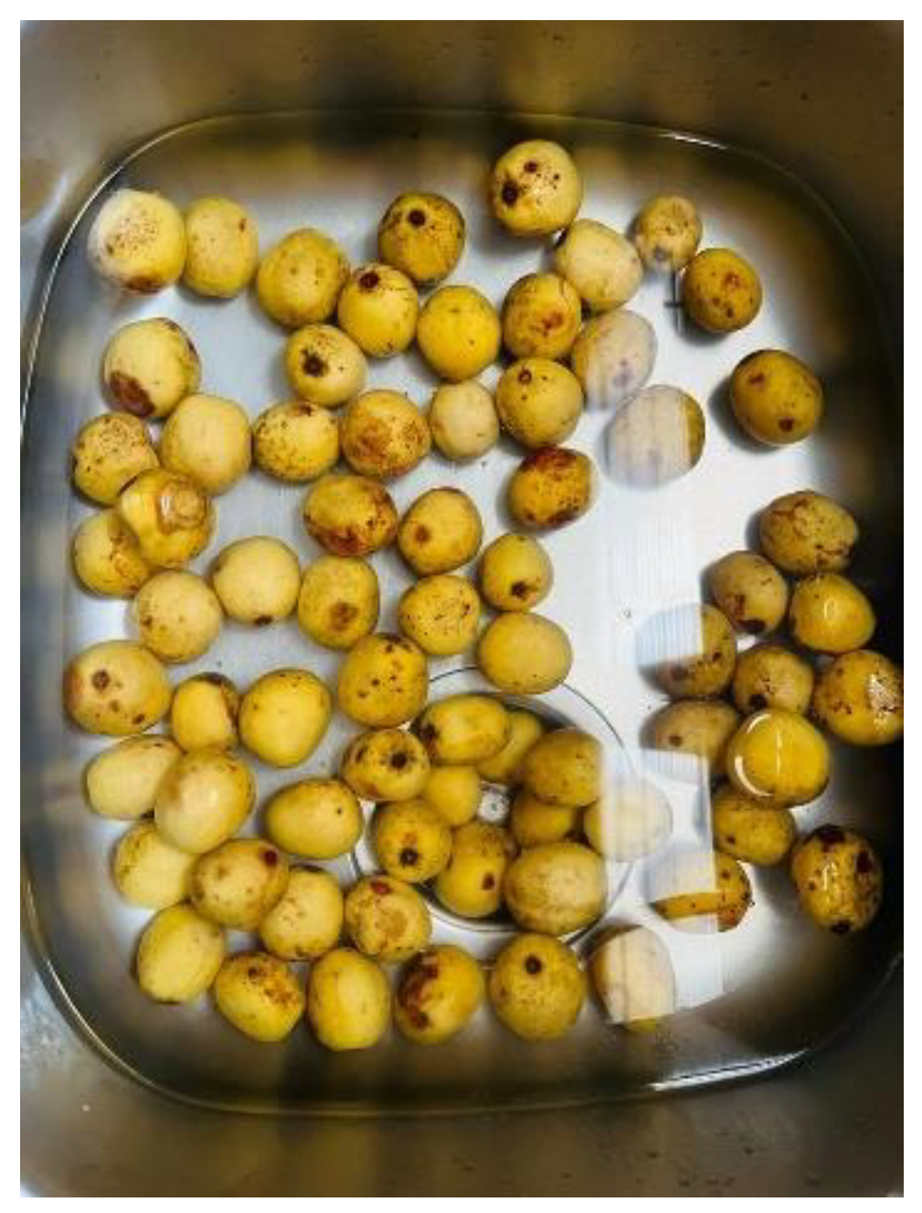 Preprints 138853 g004