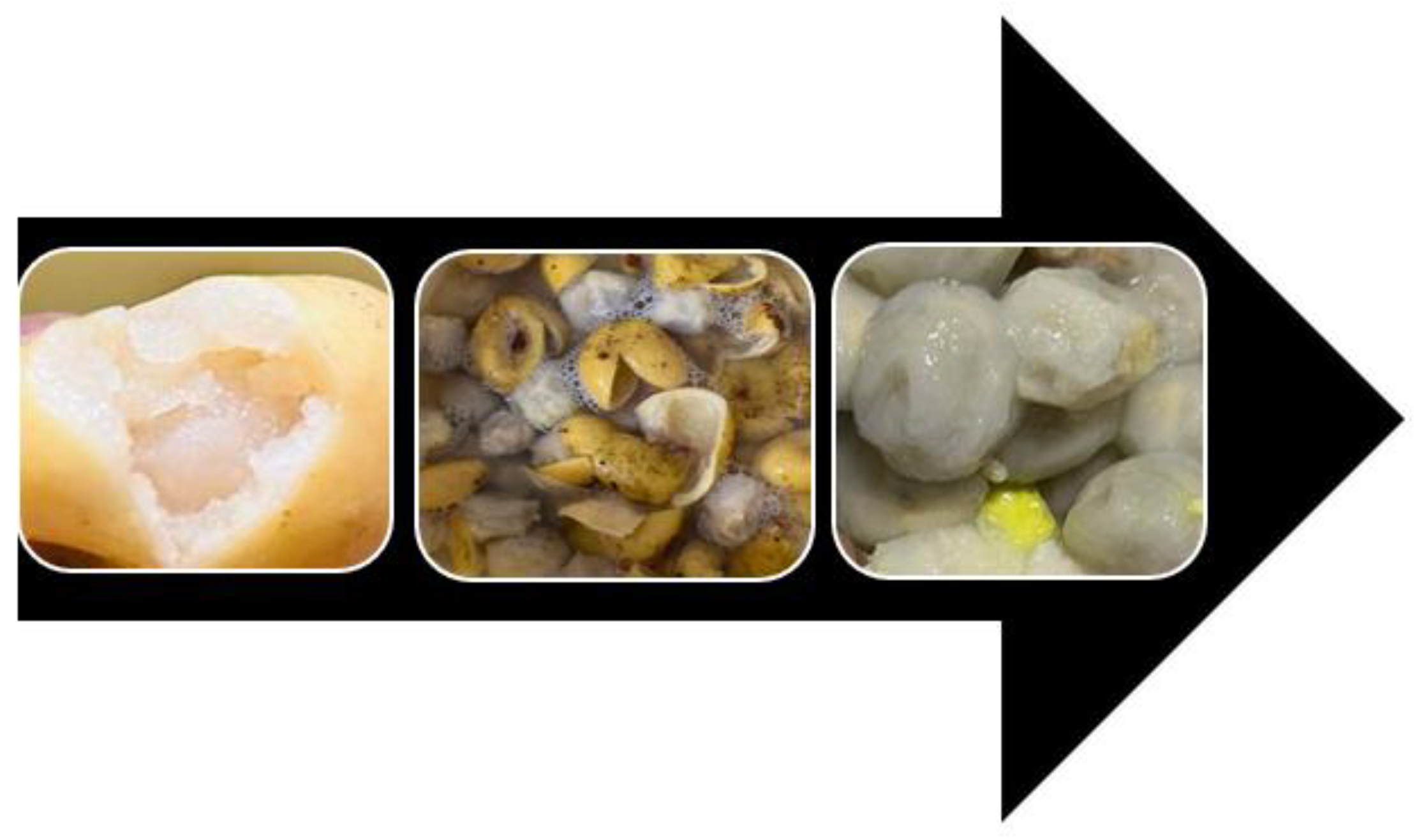 Preprints 138853 g005