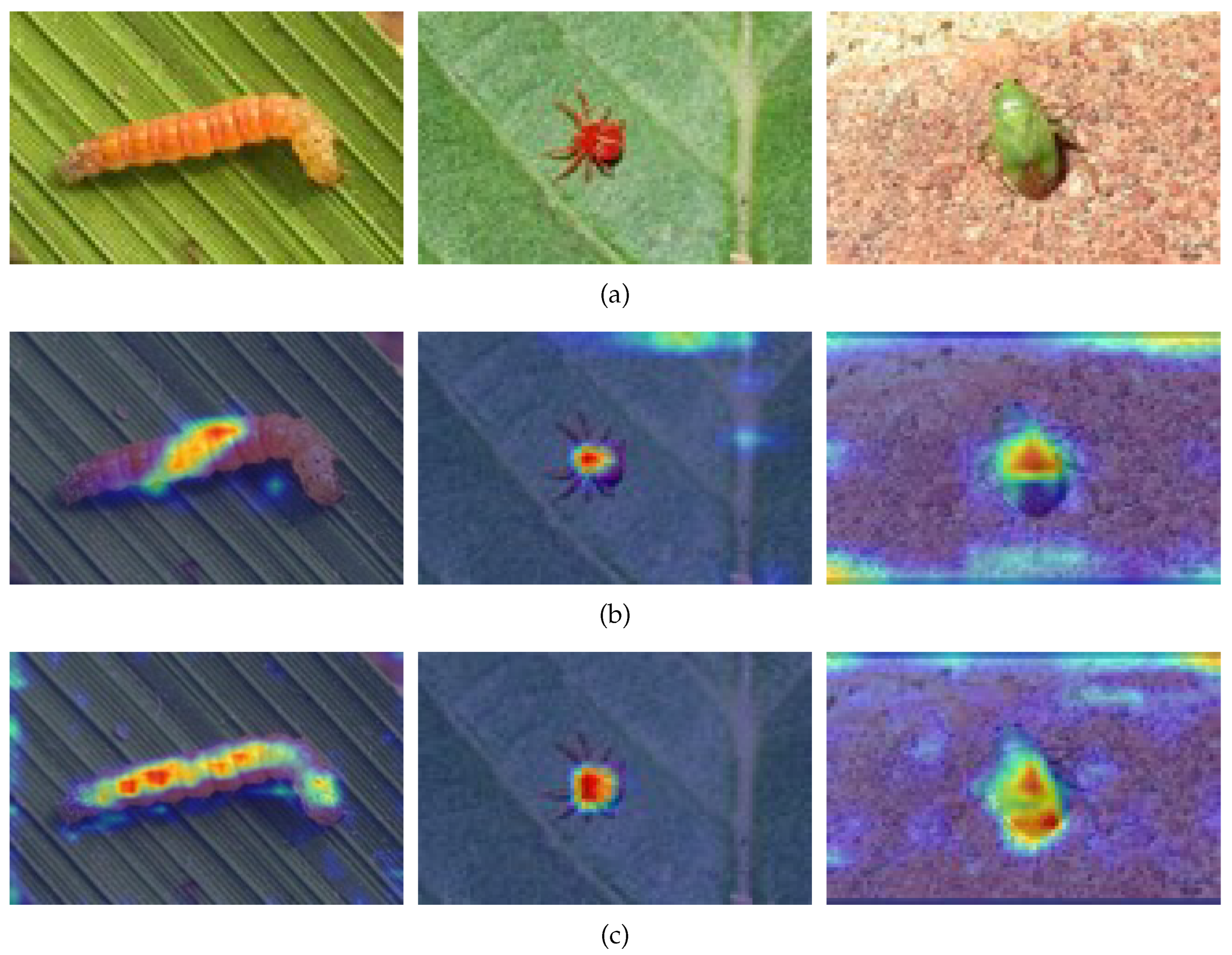Preprints 149748 g006