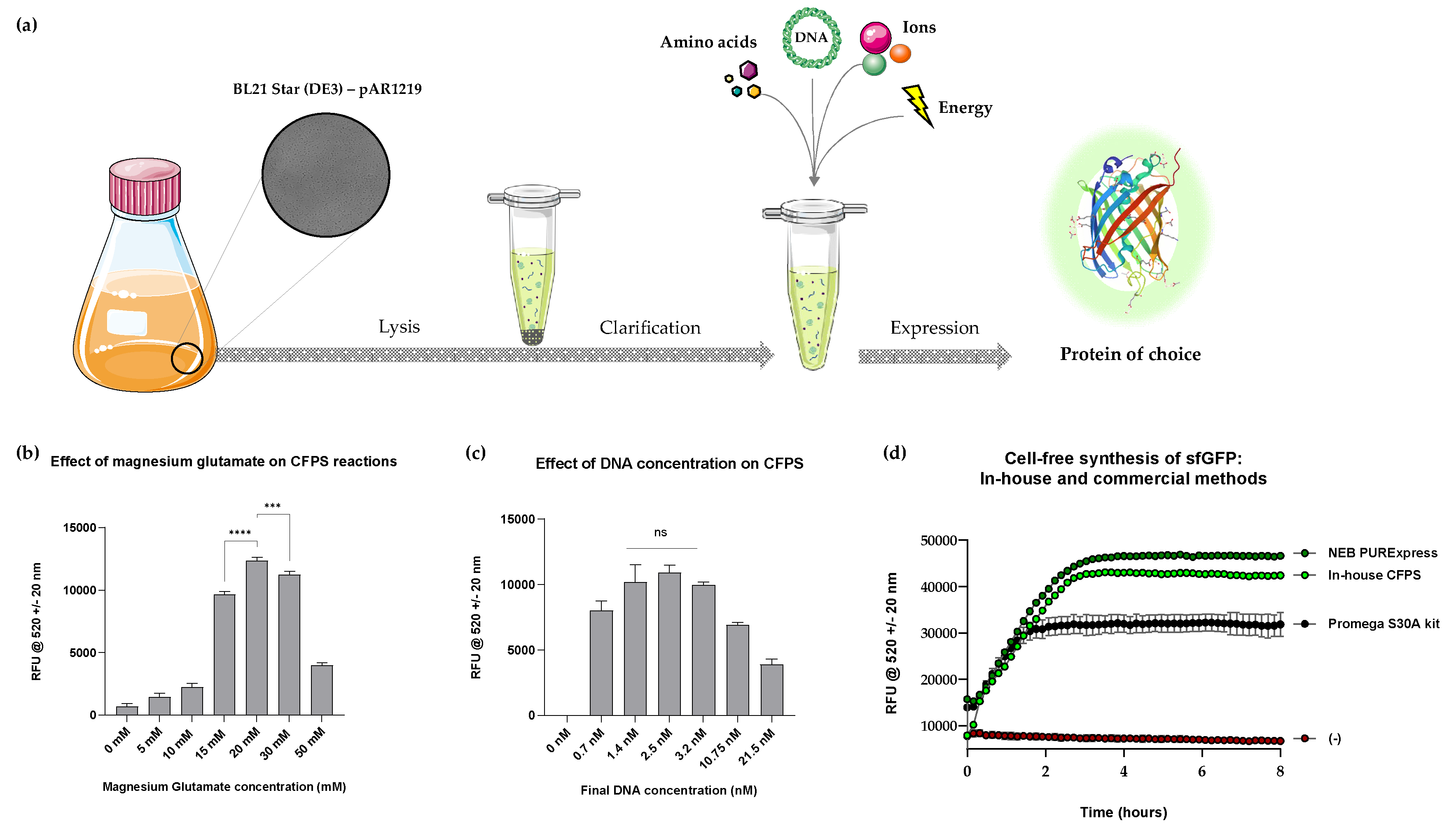 Preprints 146089 g001