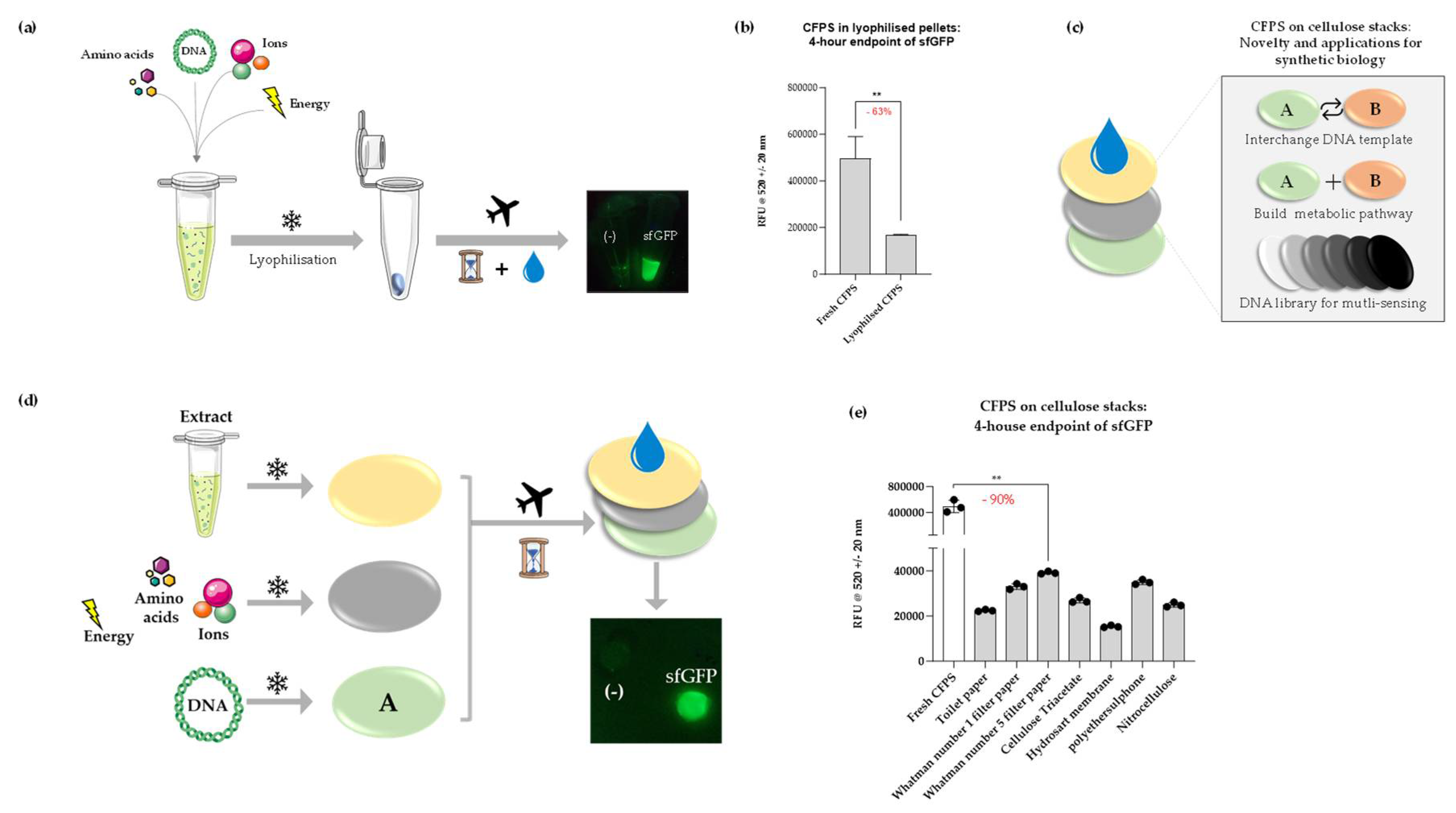 Preprints 146089 g002