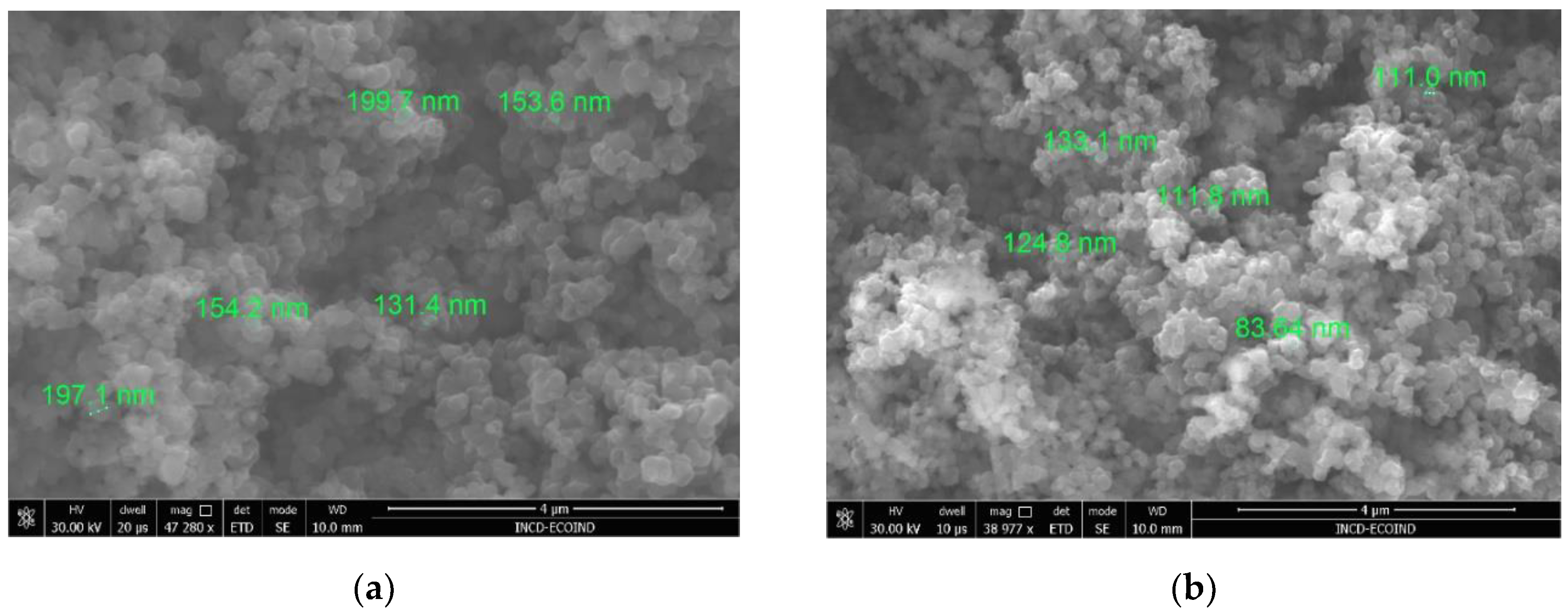 Preprints 98604 g002