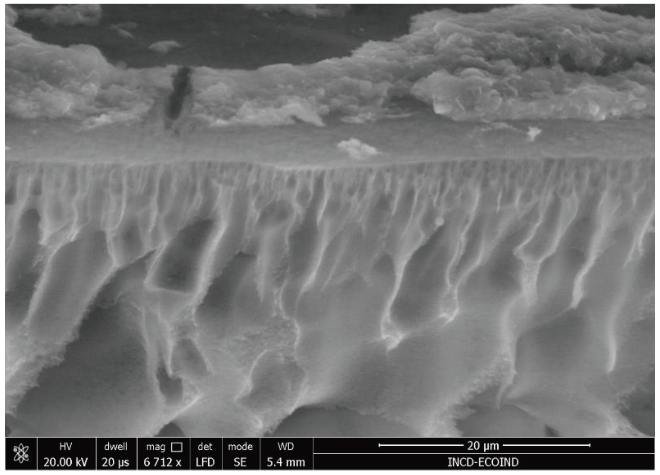 Preprints 98604 g011