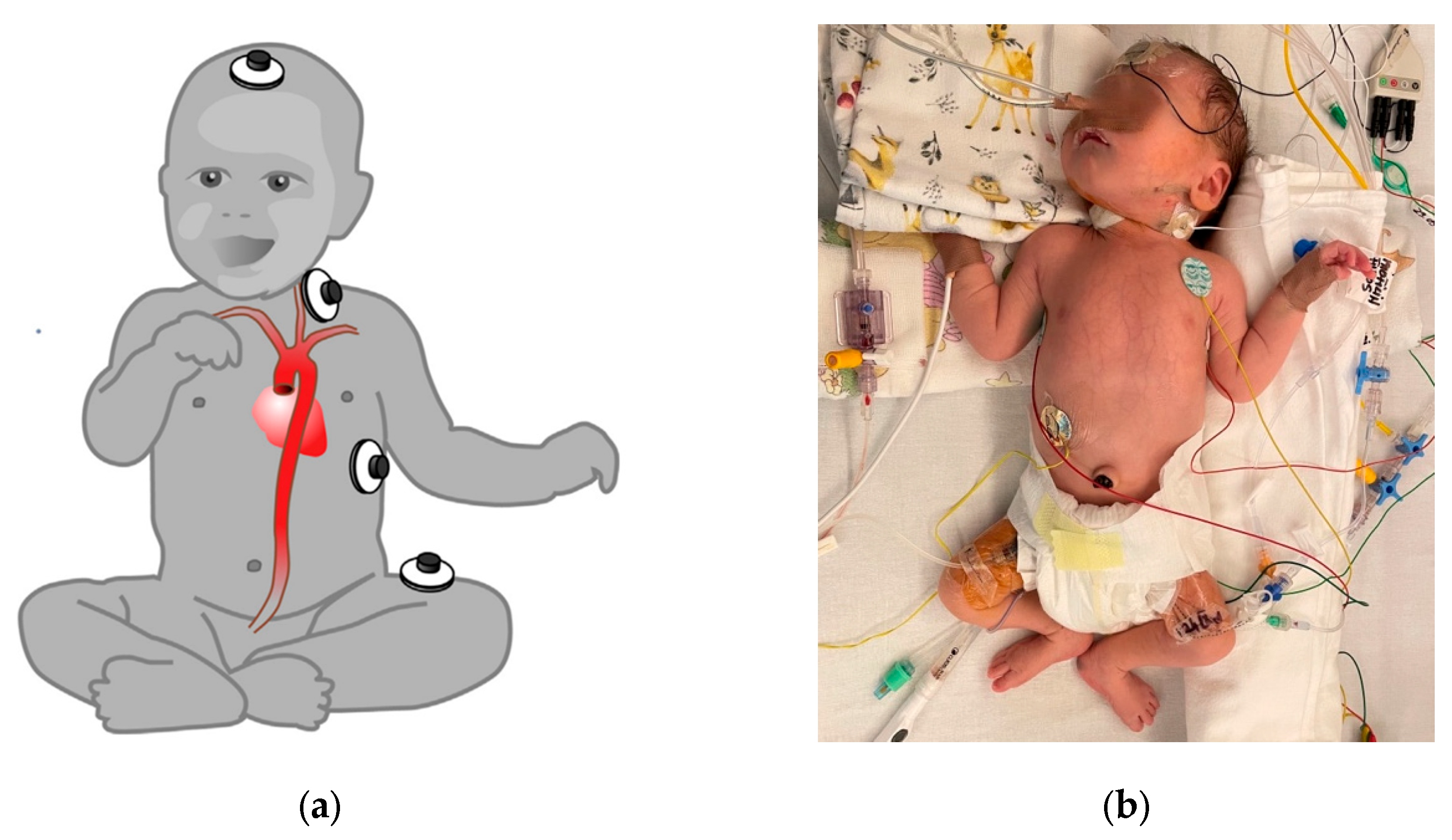 Preprints 176287 g004