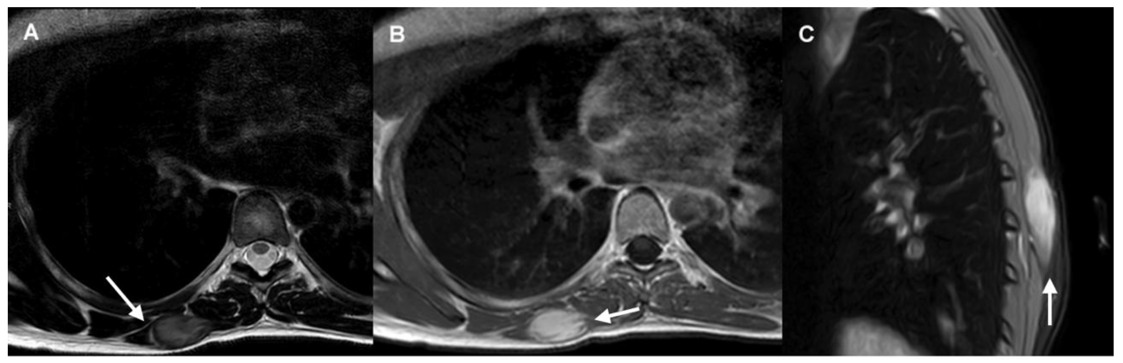 Preprints 177218 g001