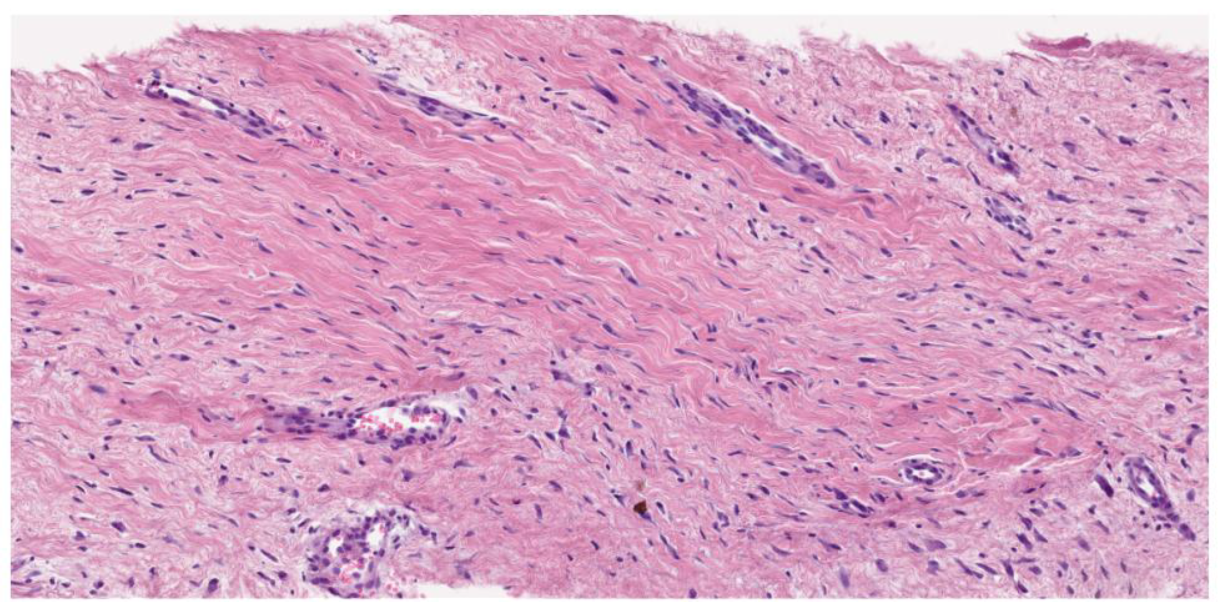 Preprints 177218 g002