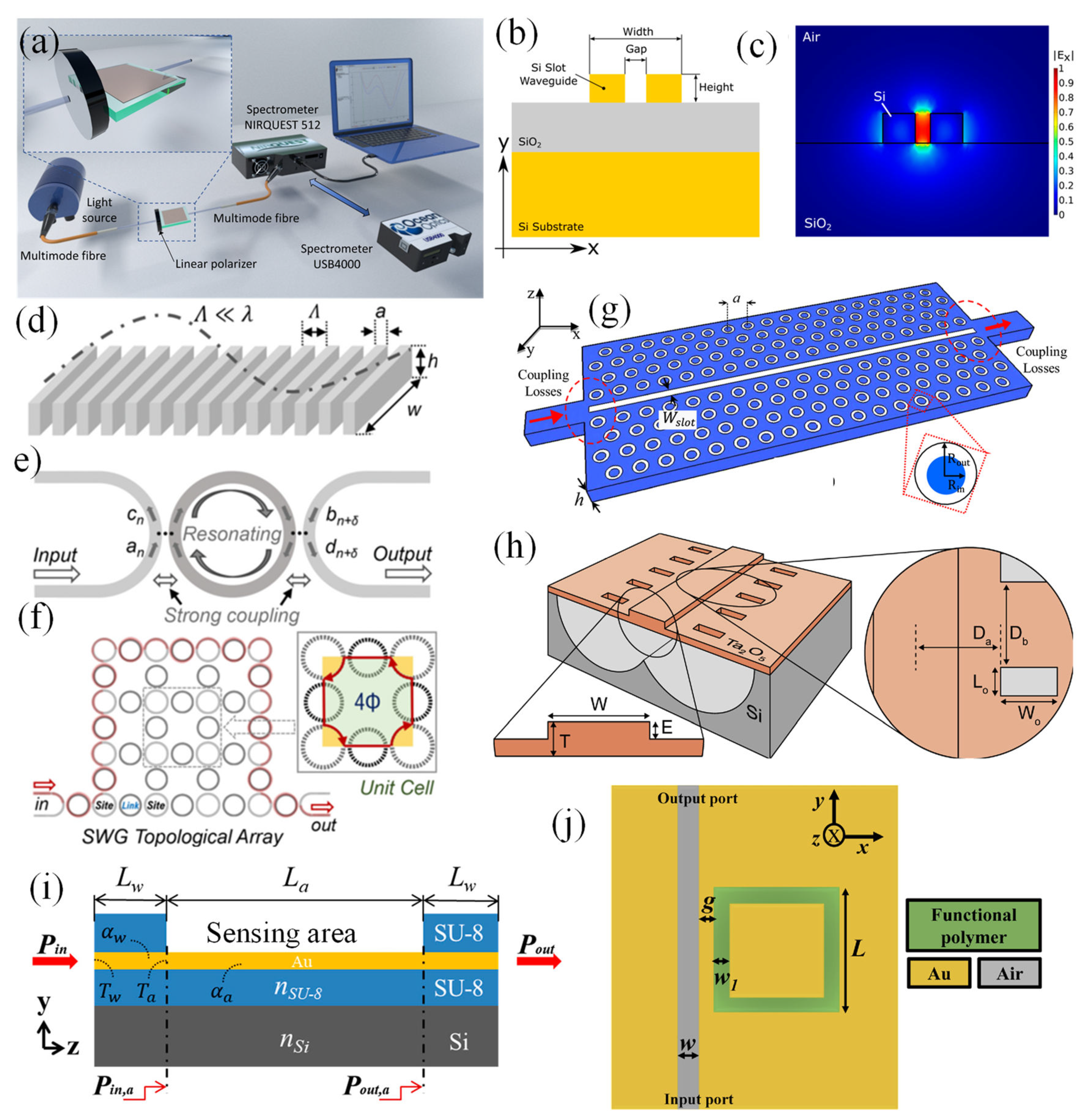 Preprints 109081 g002