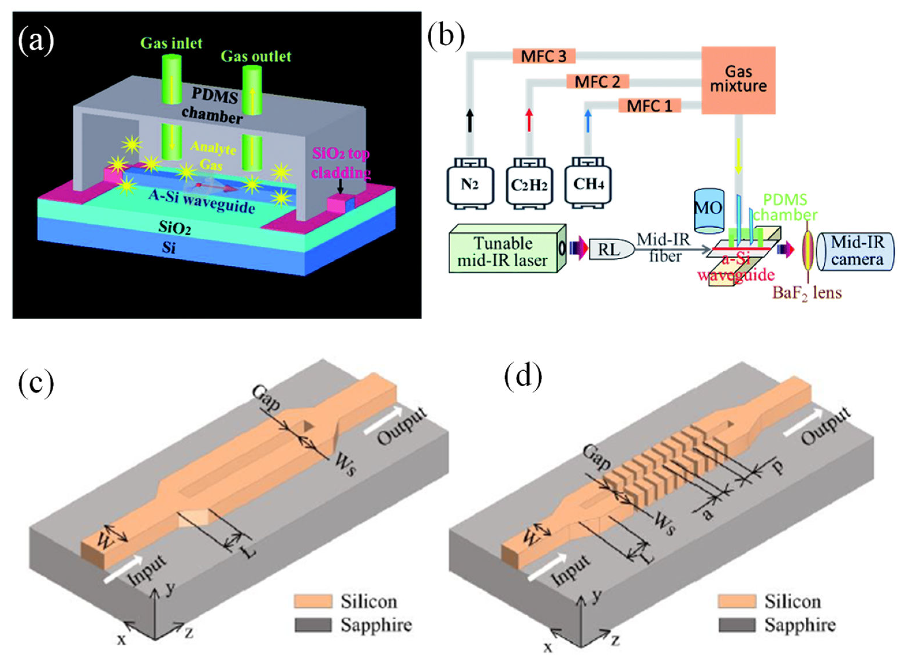 Preprints 109081 g003