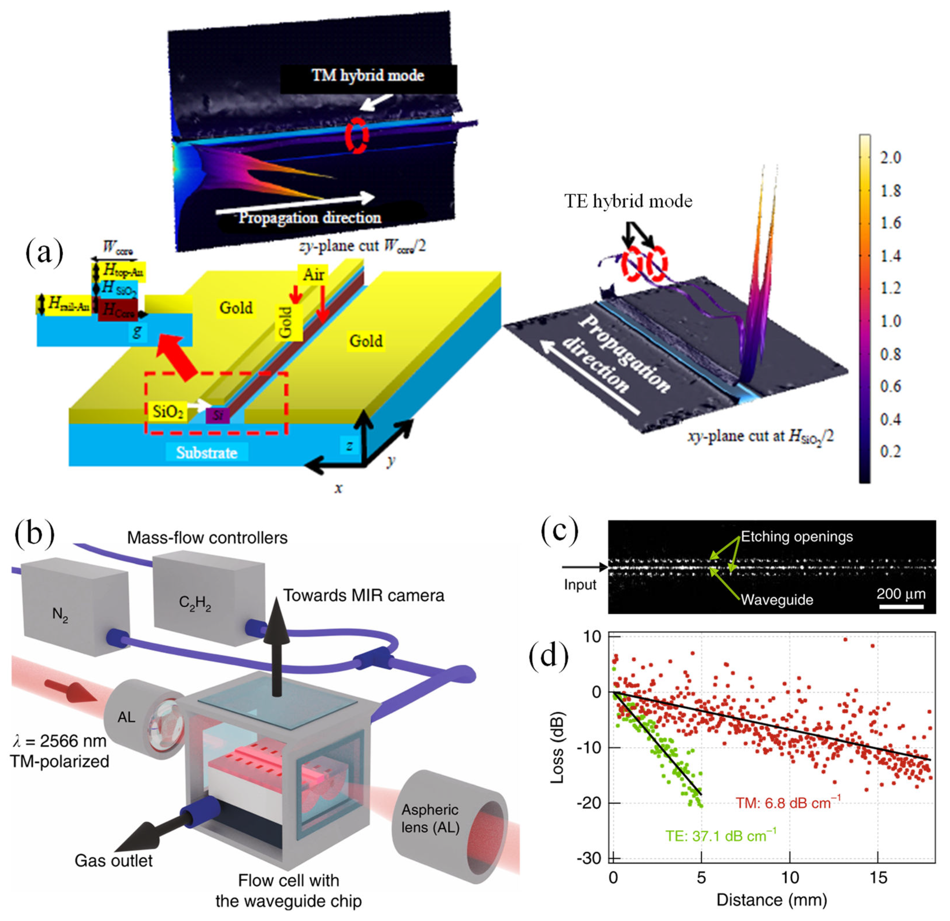 Preprints 109081 g004
