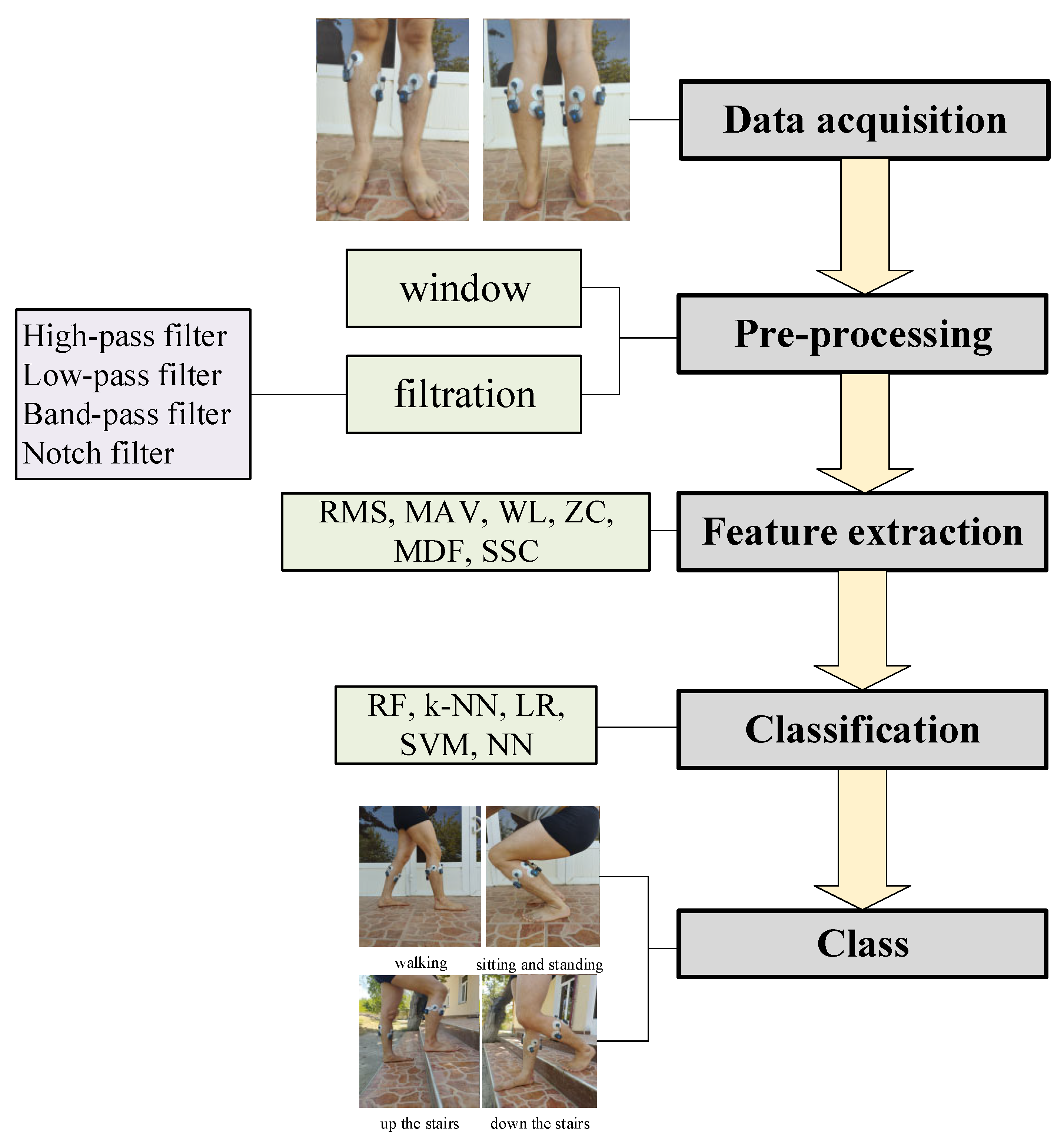 Preprints 169678 g001