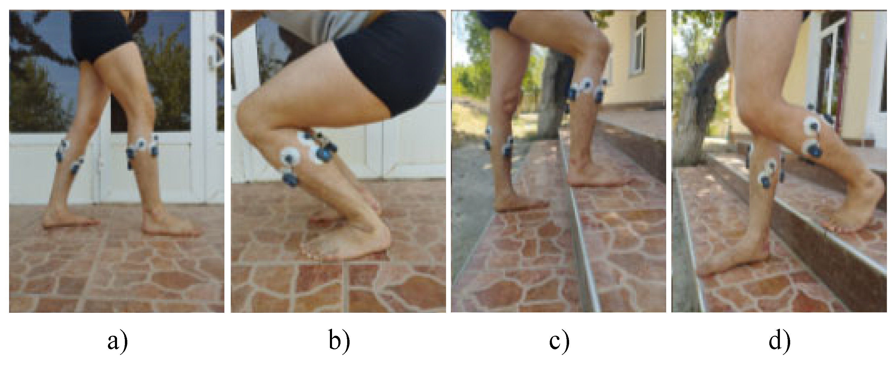 Preprints 169678 g004