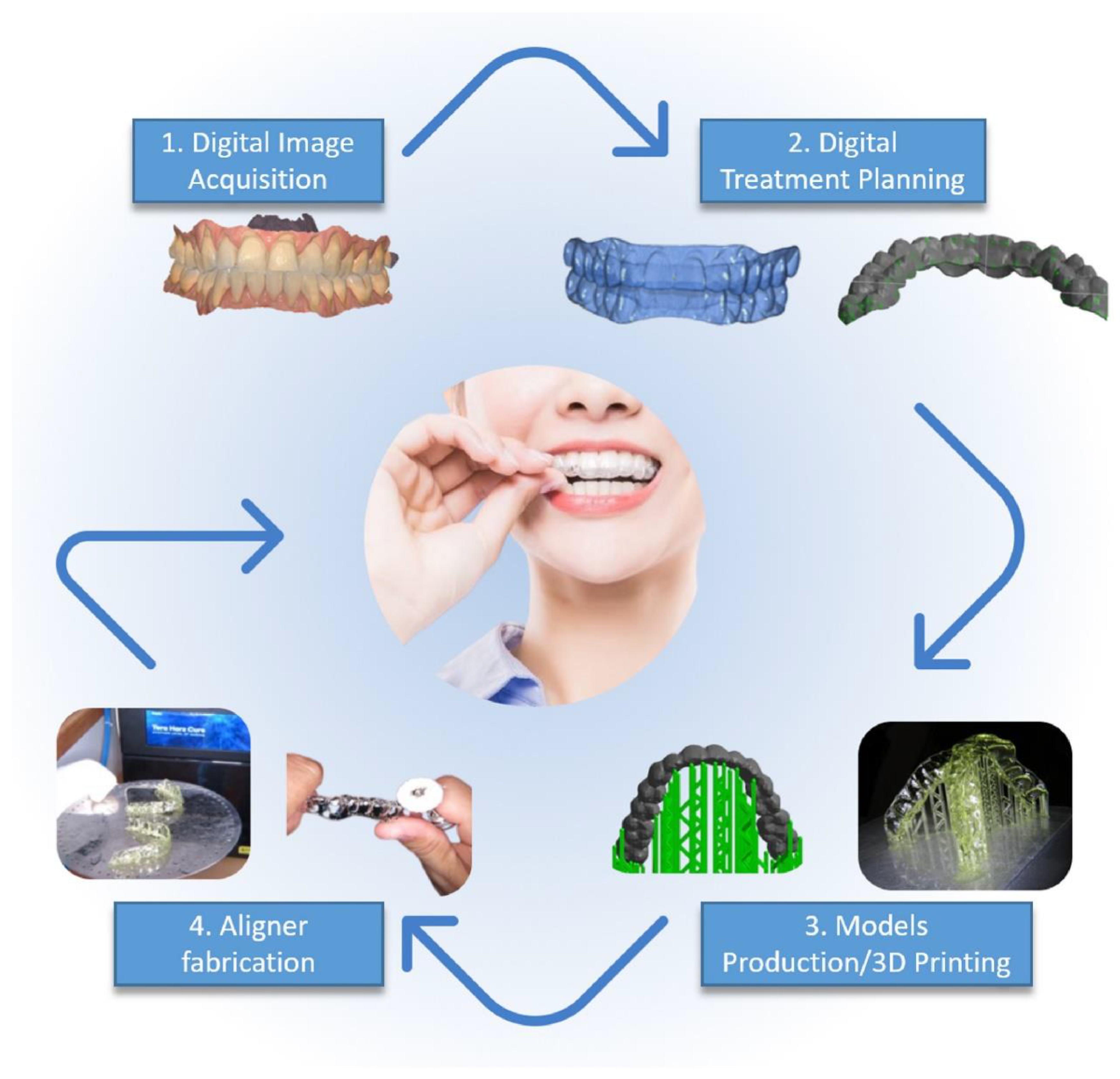 Preprints 161537 g001