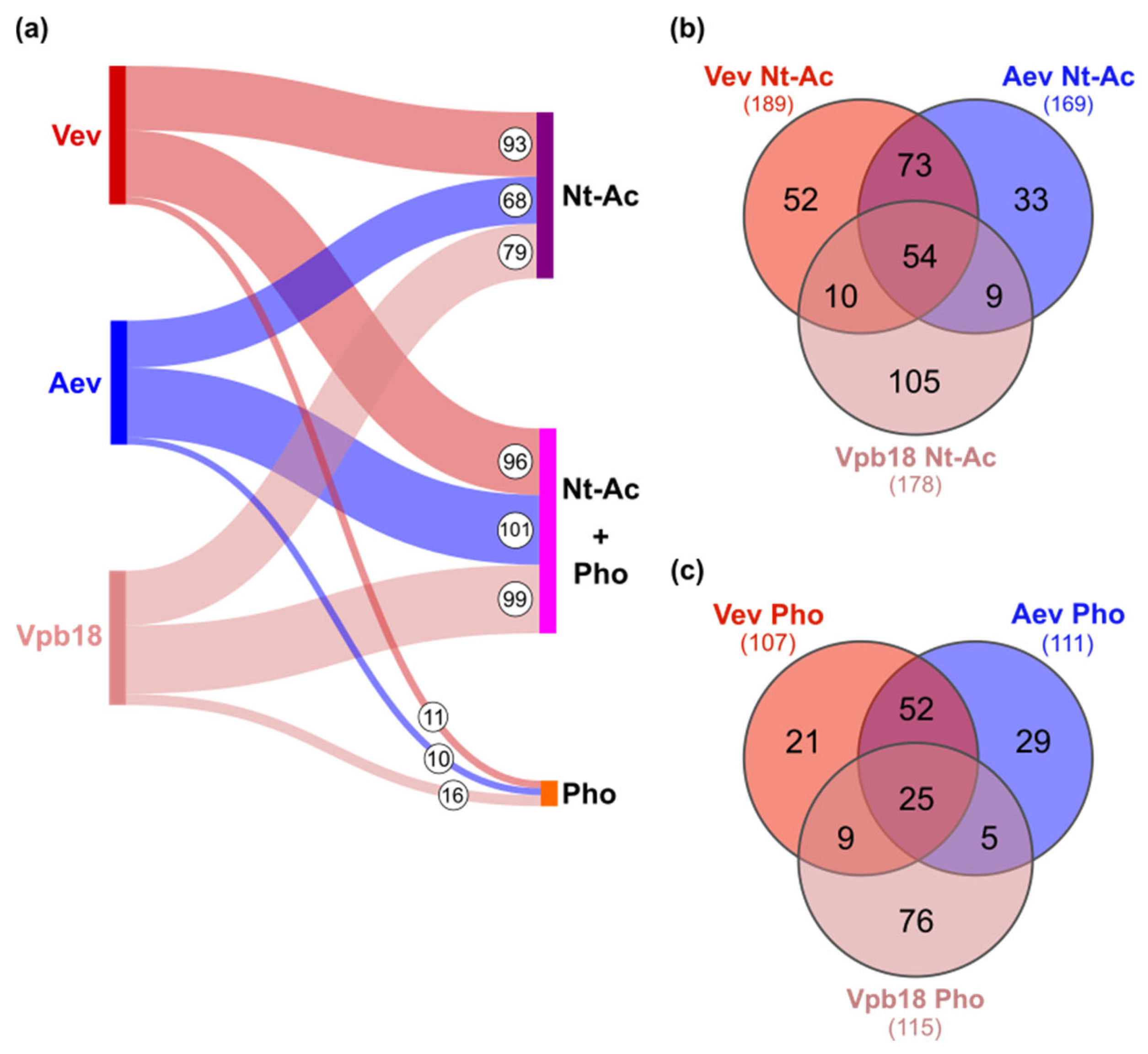 Preprints 174482 g005