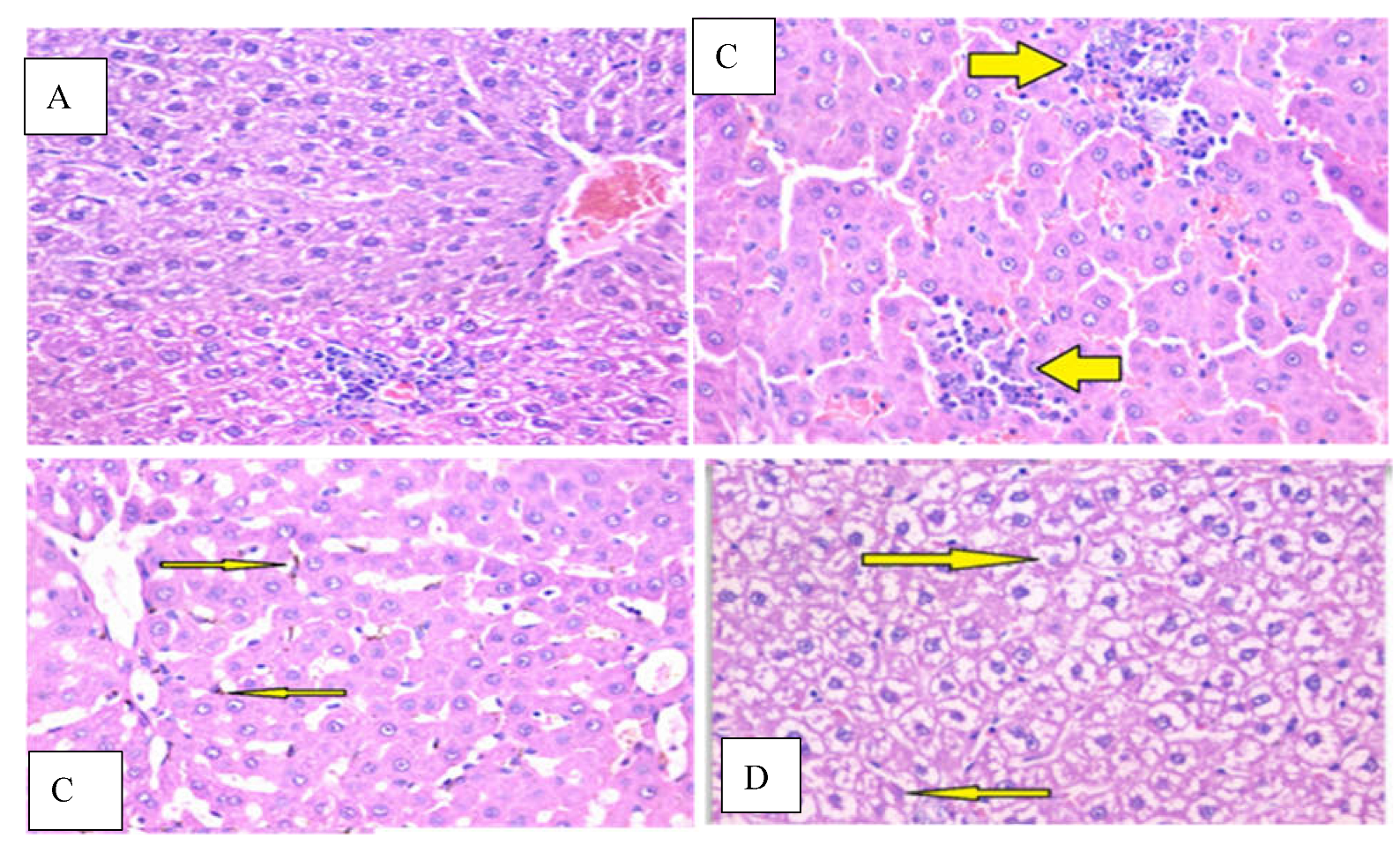 Preprints 156471 g004