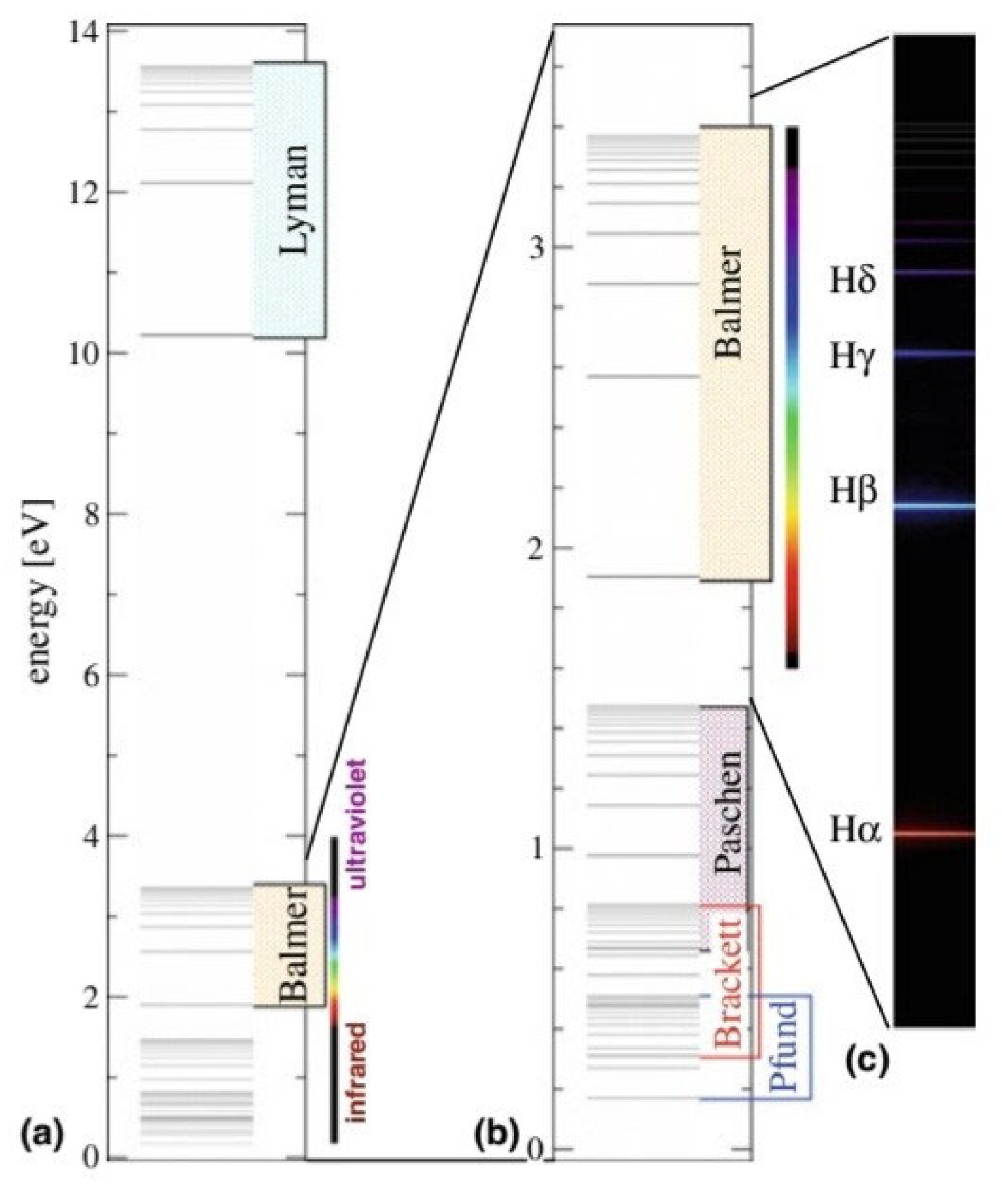 Preprints 185044 g002