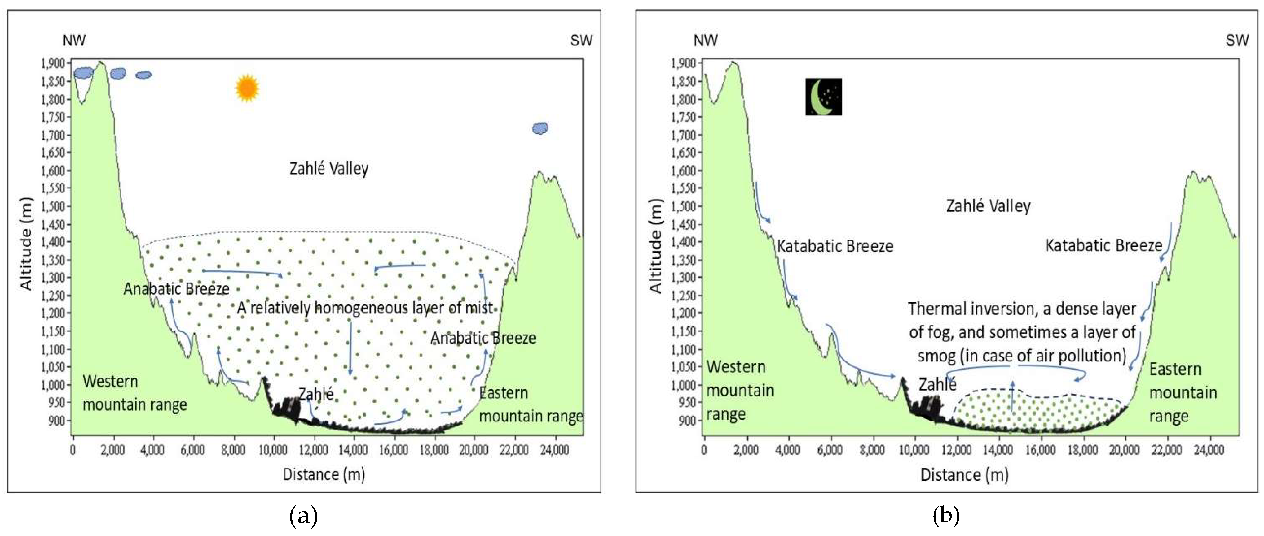Preprints 154466 g009