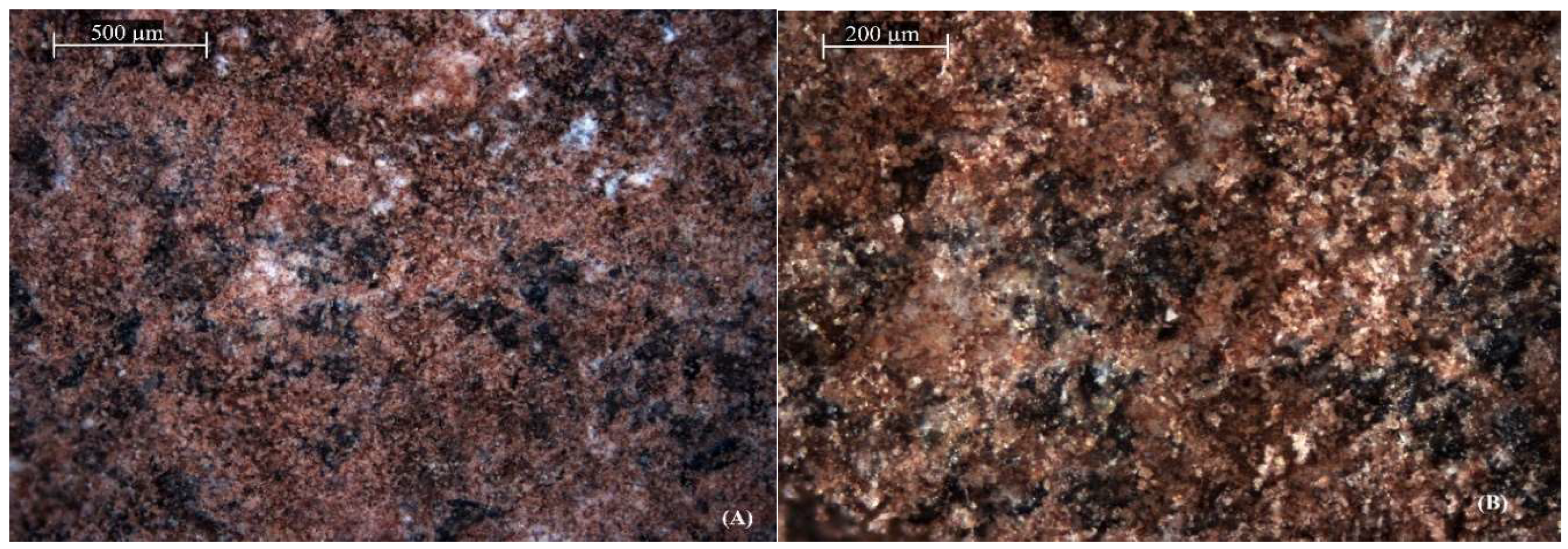 Preprints 154210 g003