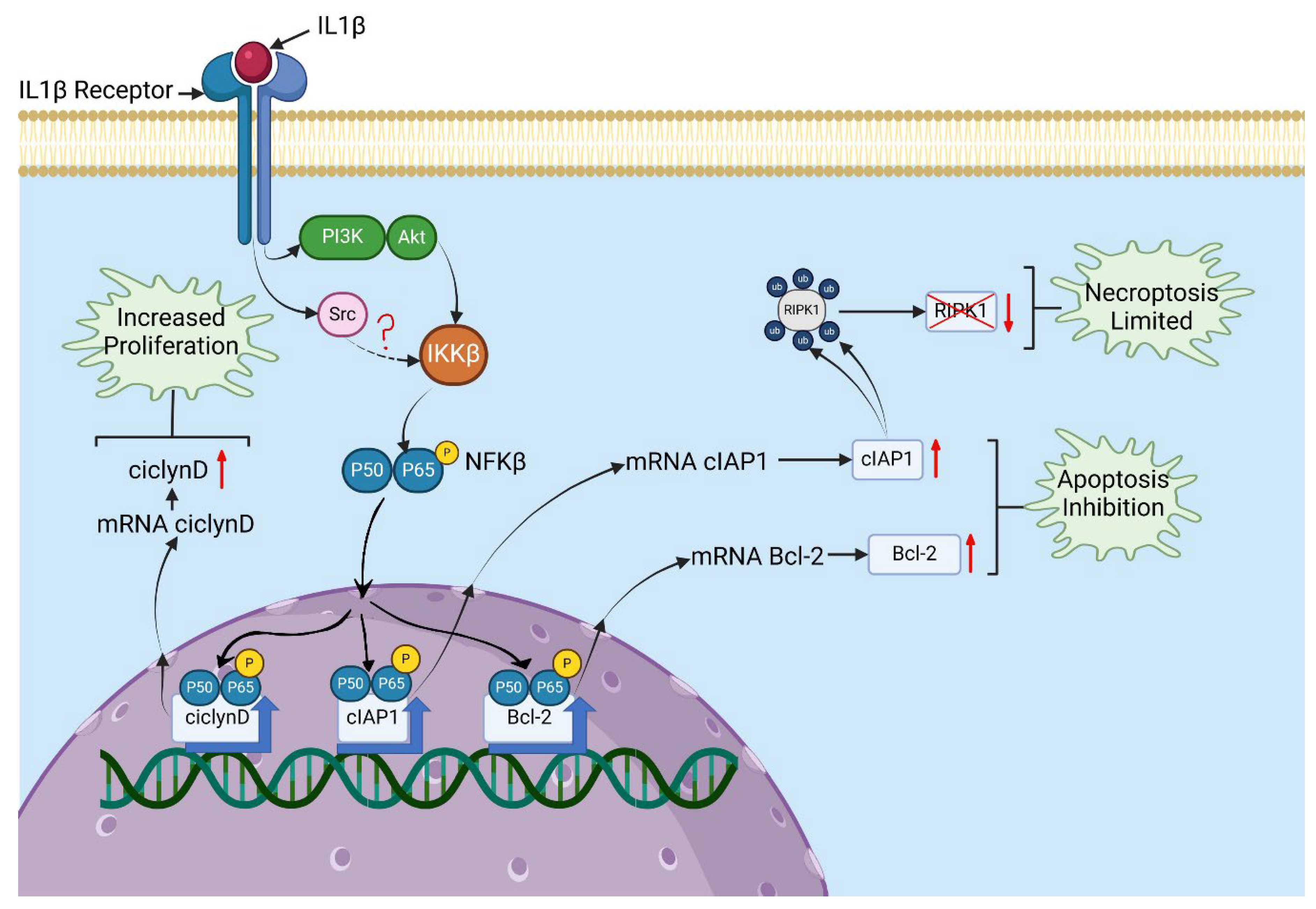 Preprints 186222 g005