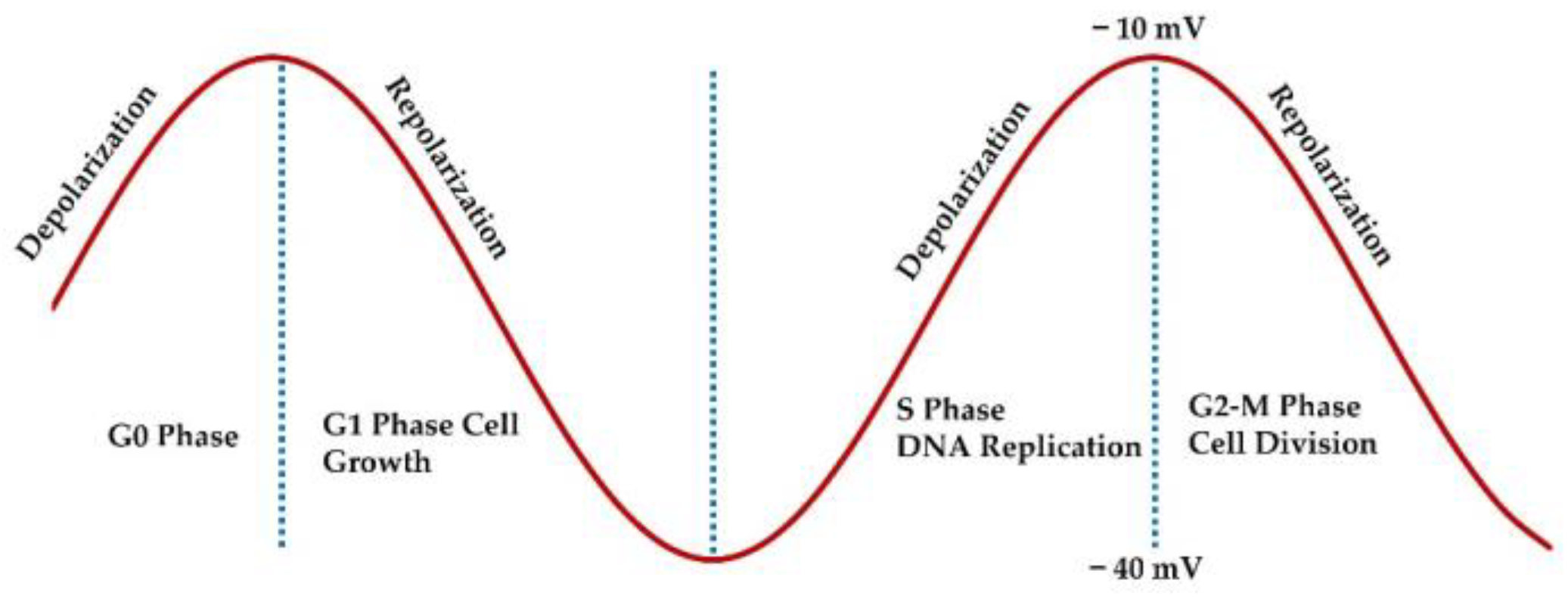 Preprints 147636 g001
