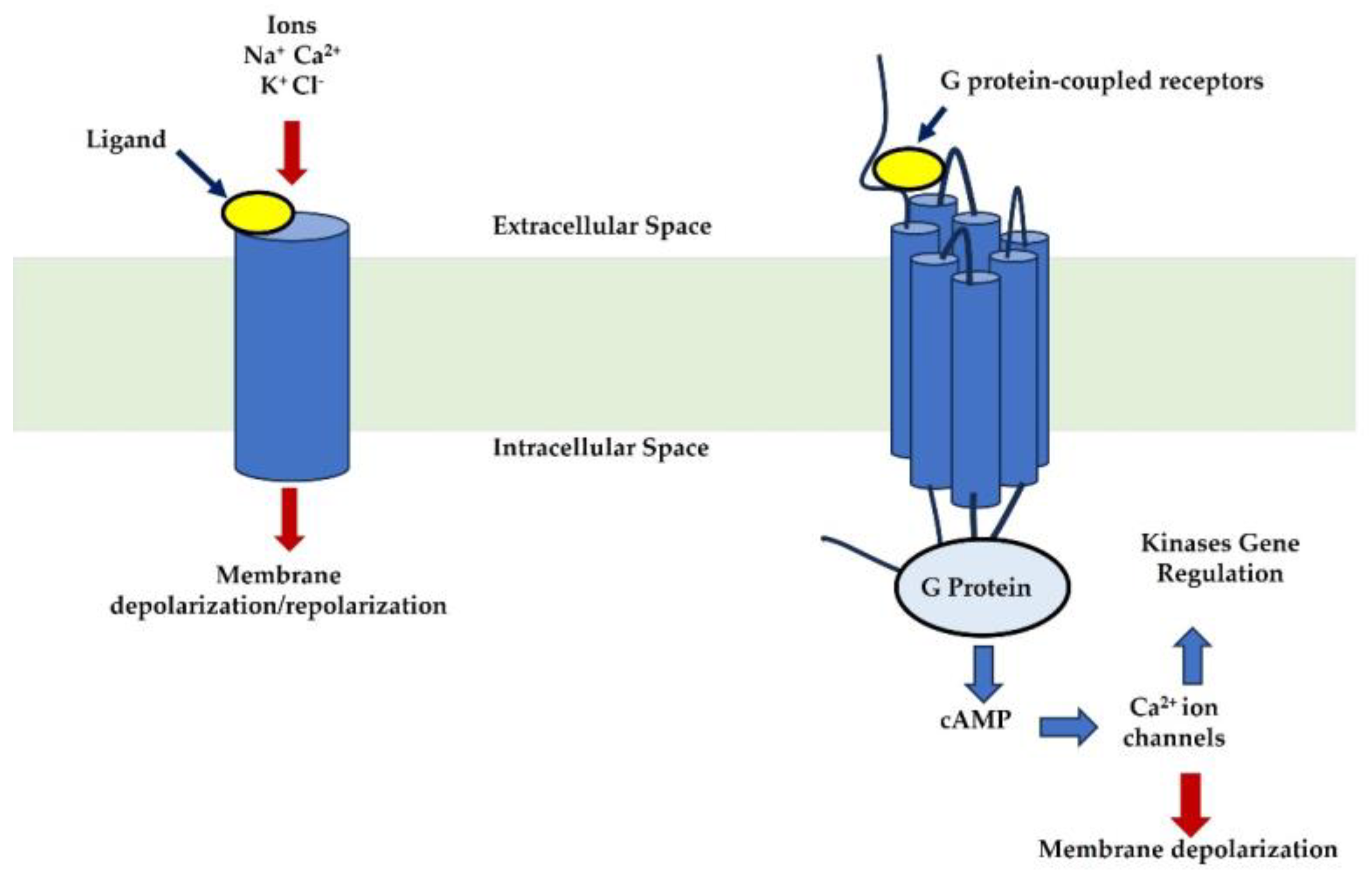 Preprints 147636 g003