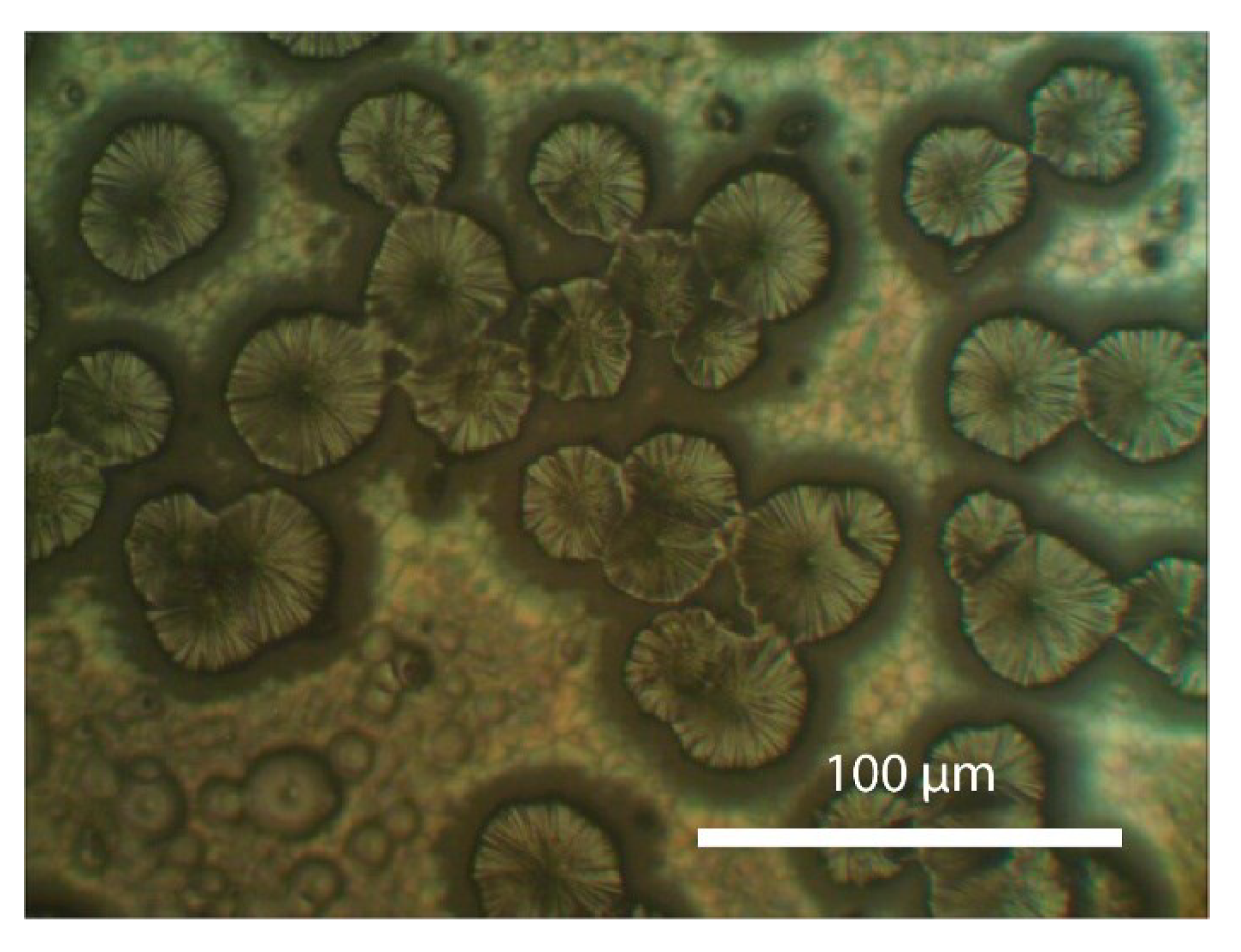 Preprints 101069 g003