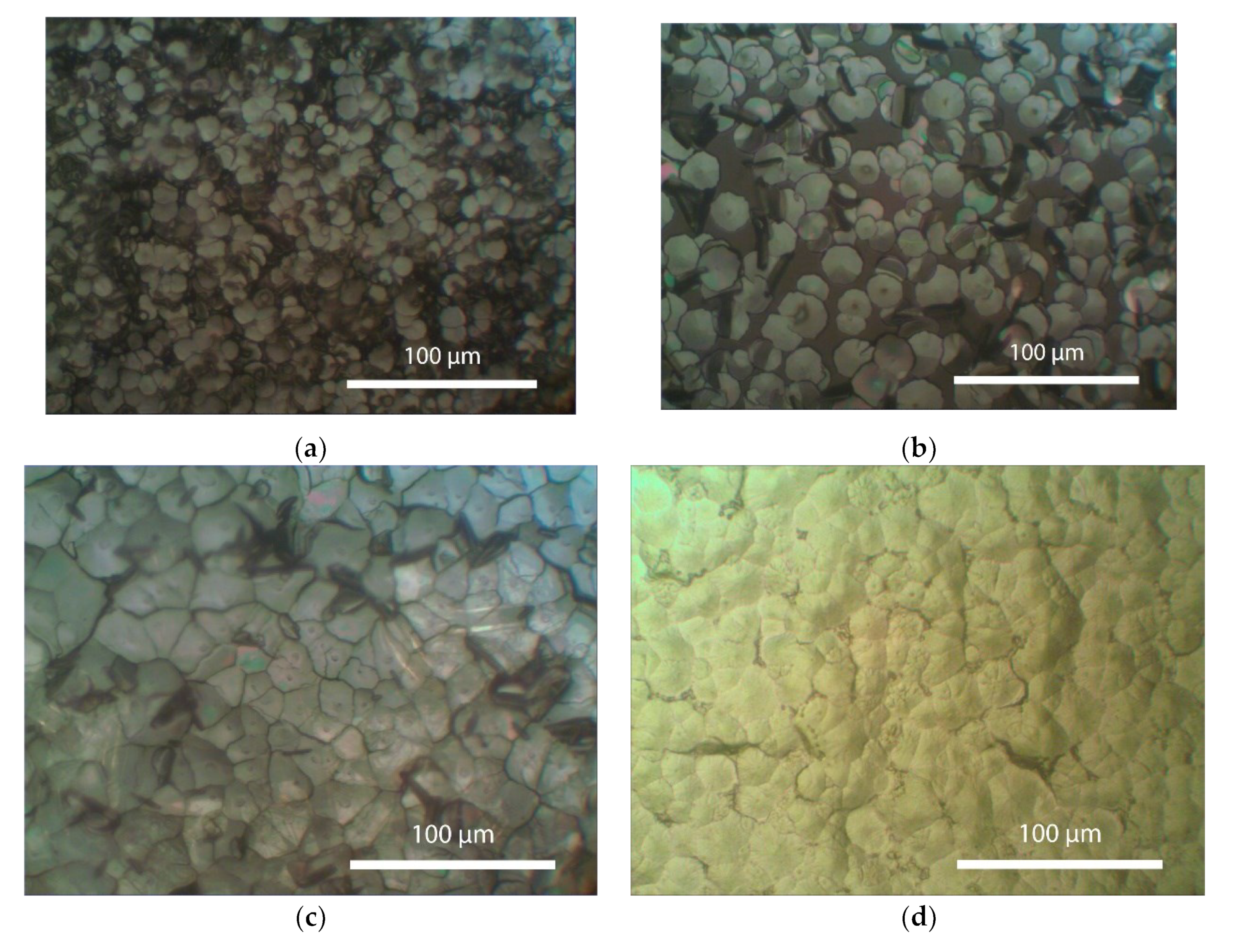 Preprints 101069 g004