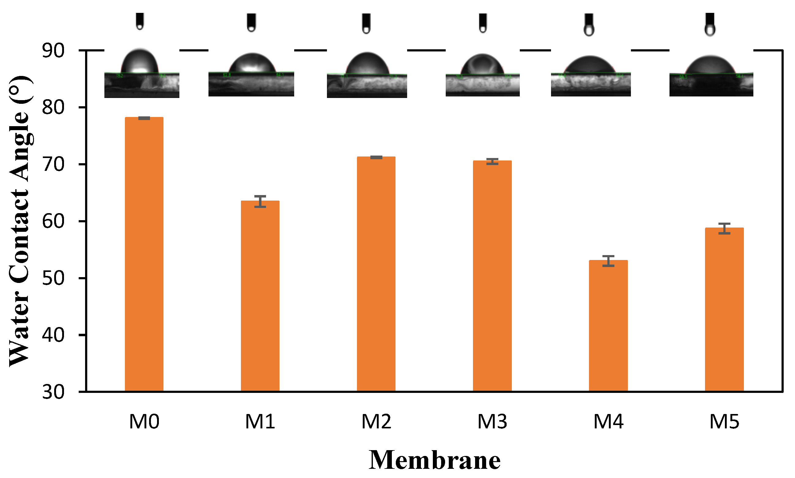Preprints 103252 g005