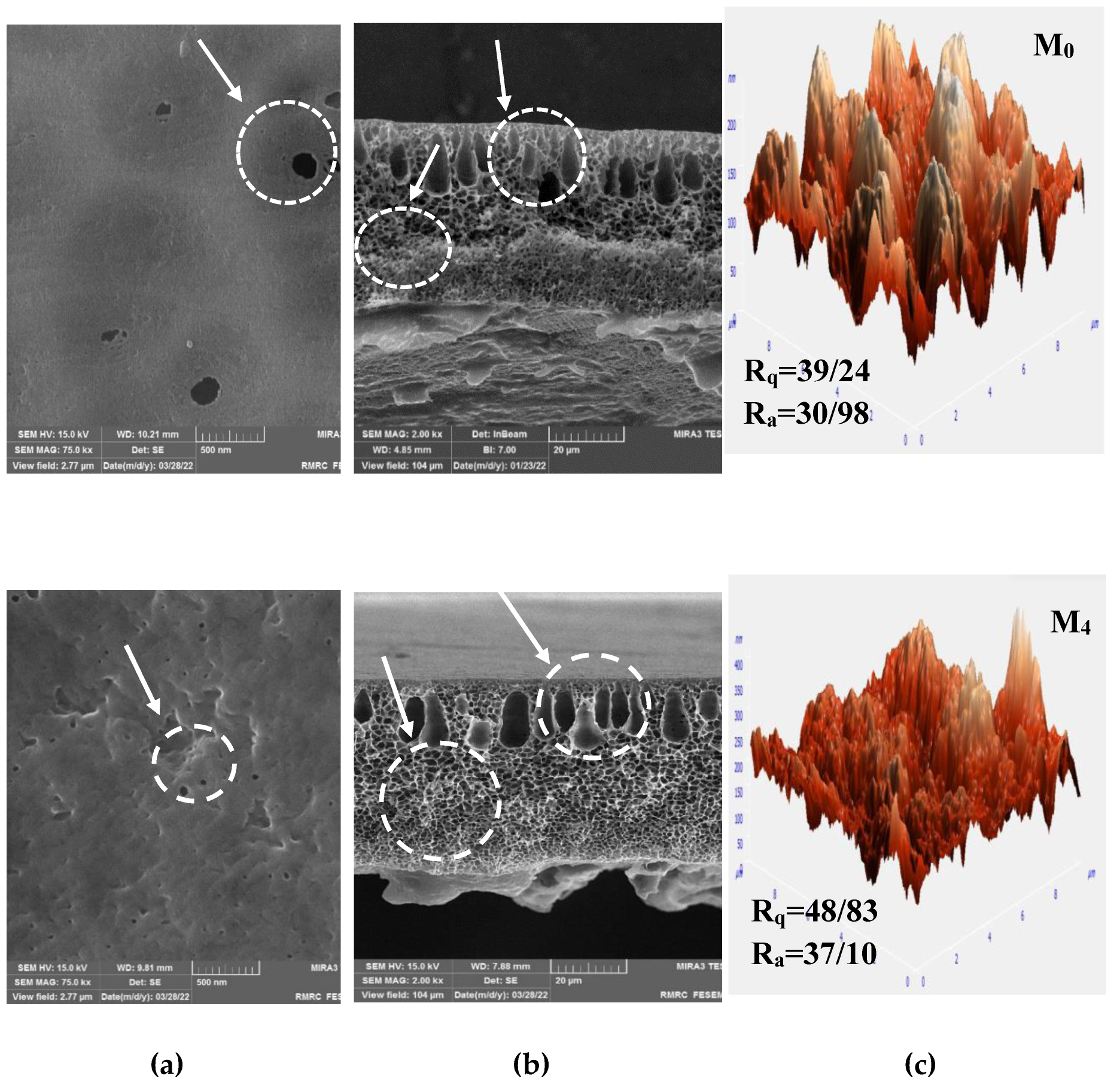Preprints 103252 g010