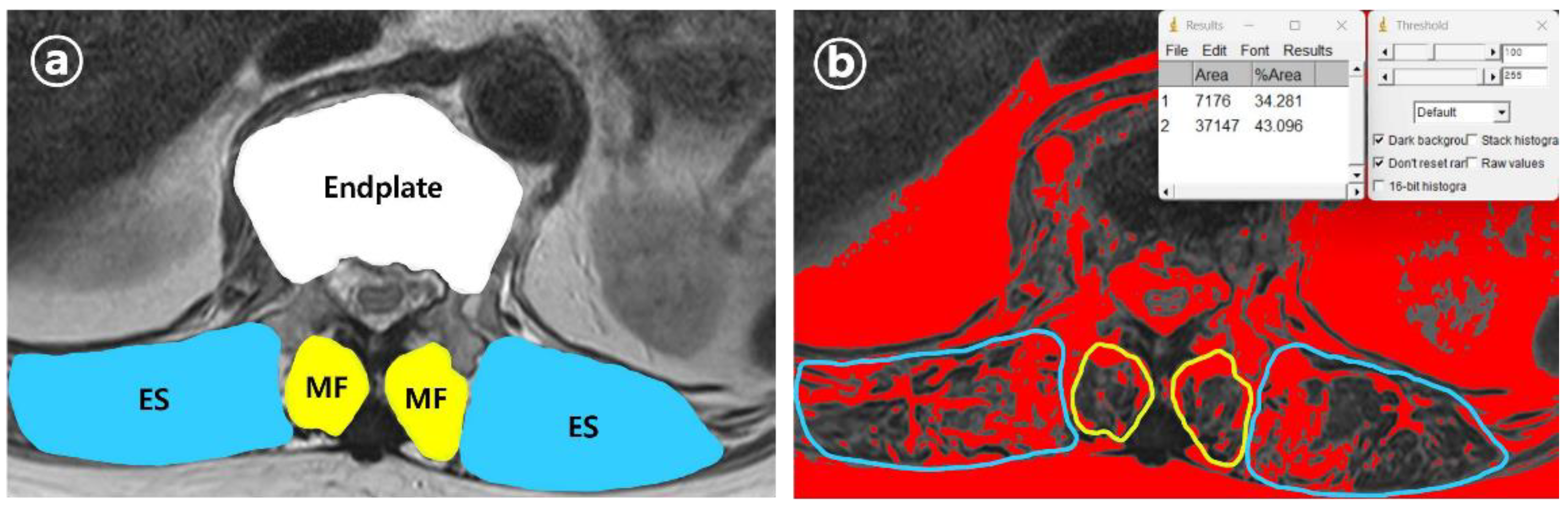 Preprints 155301 g003