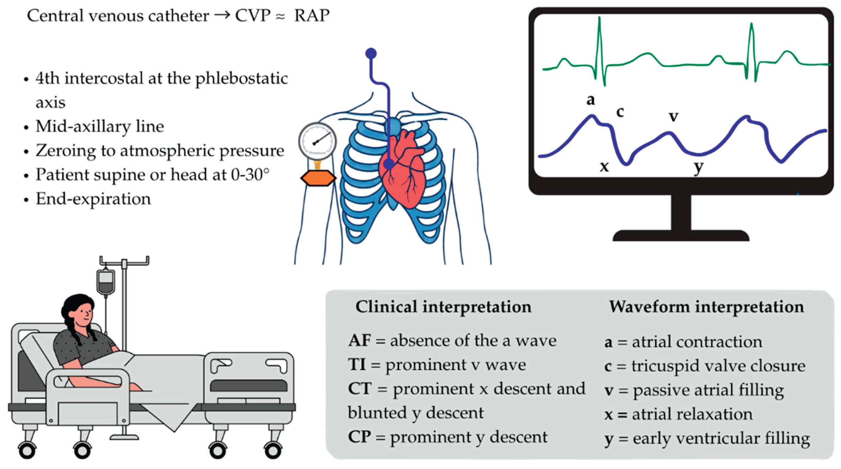 Preprints 211439 g001