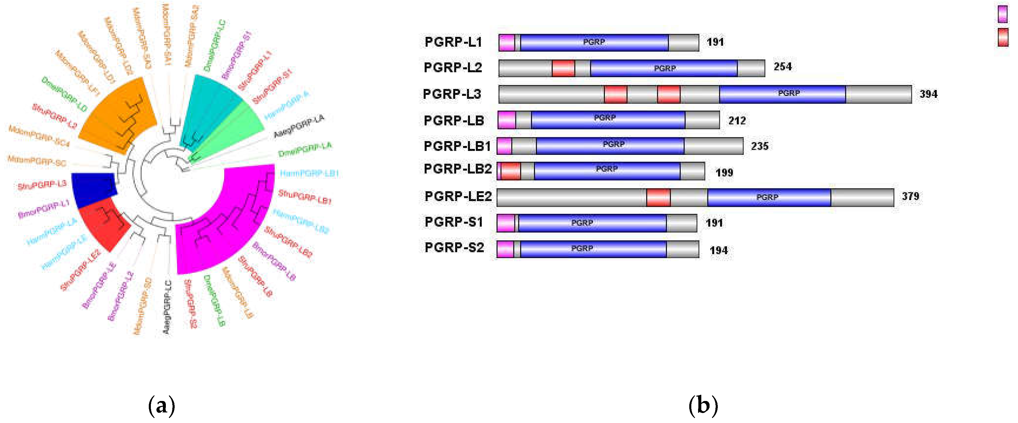 Preprints 141512 g006