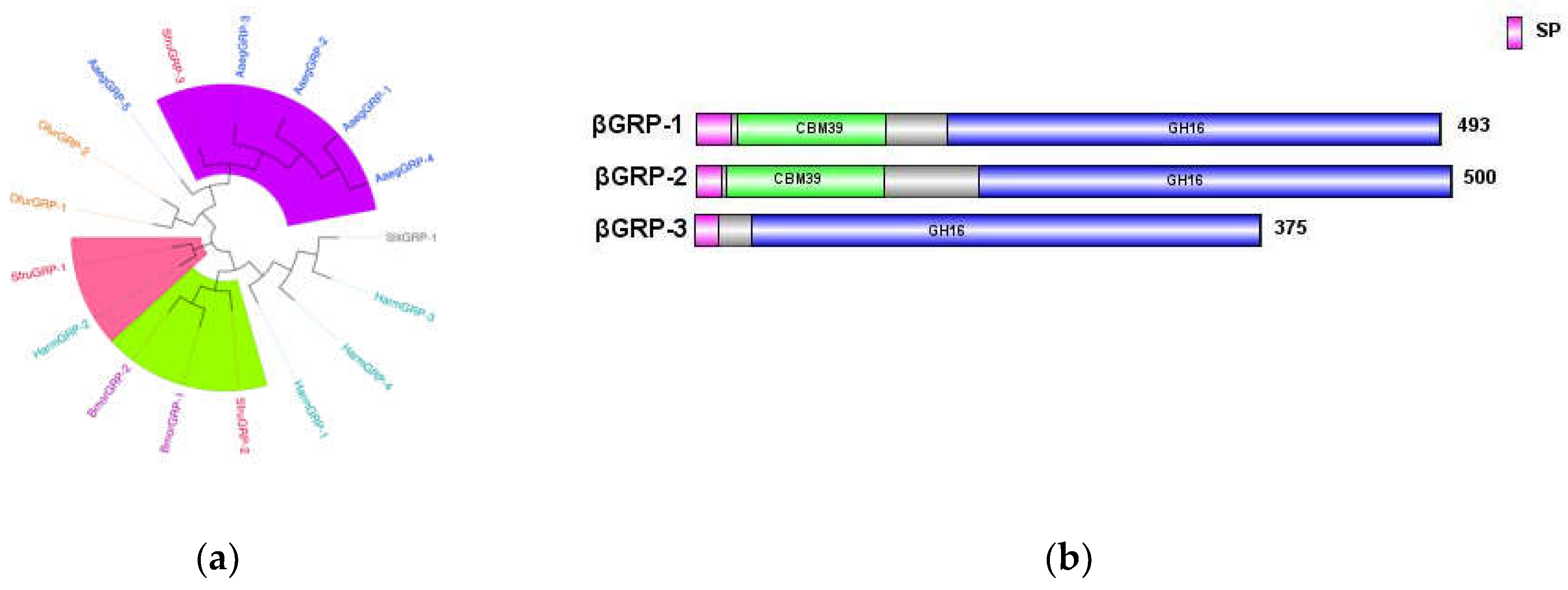 Preprints 141512 g007