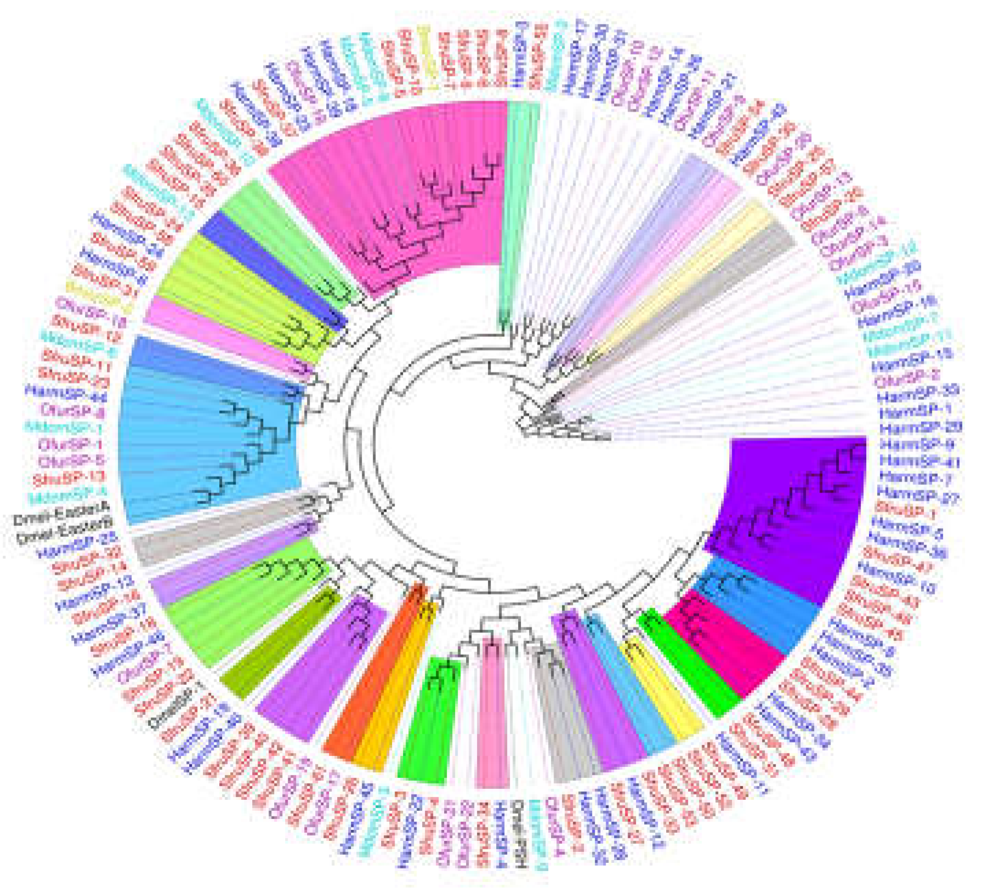Preprints 141512 g009
