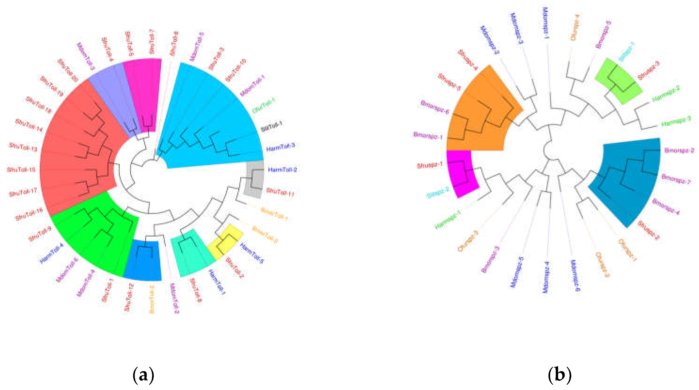 Preprints 141512 g012