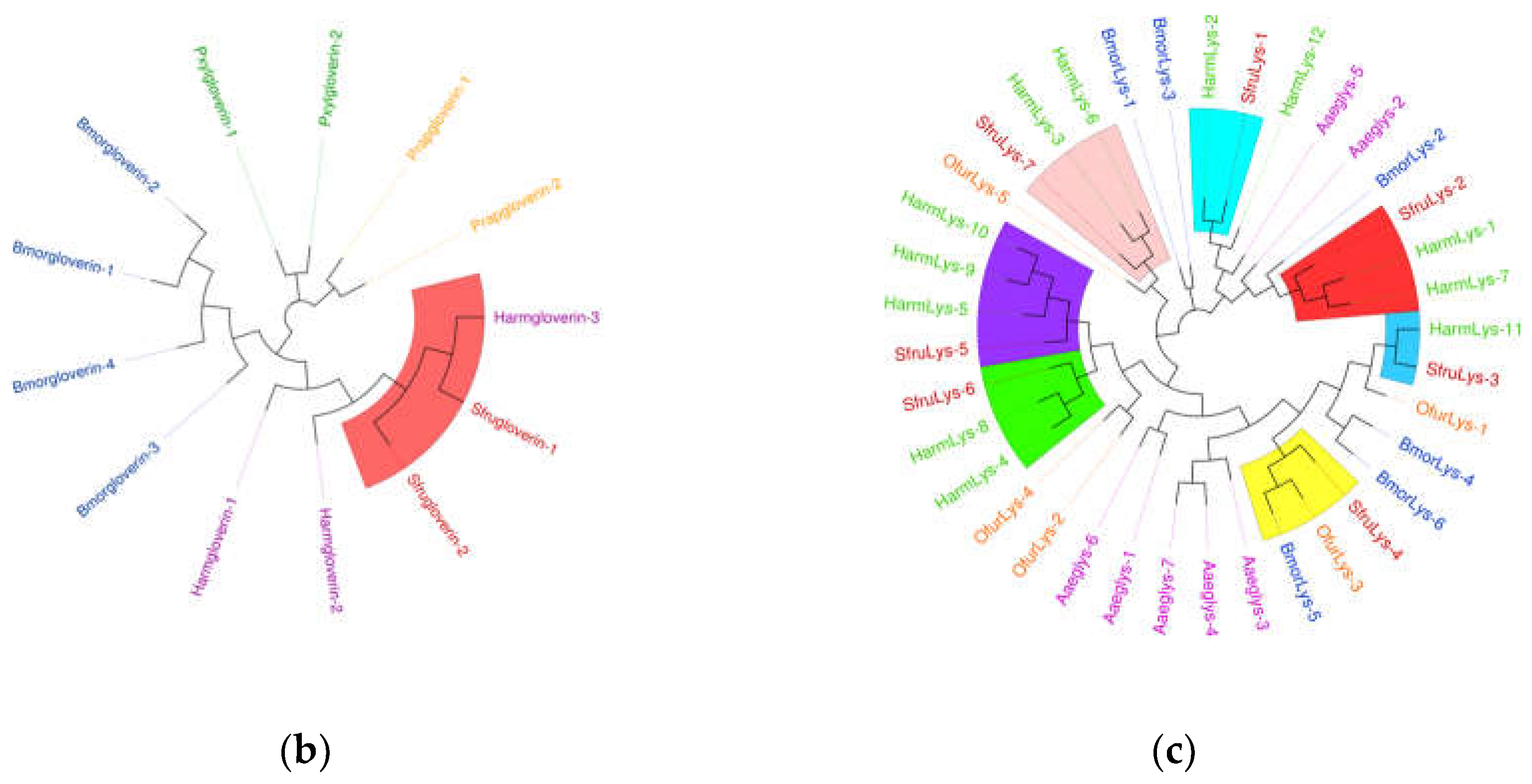 Preprints 141512 g014b