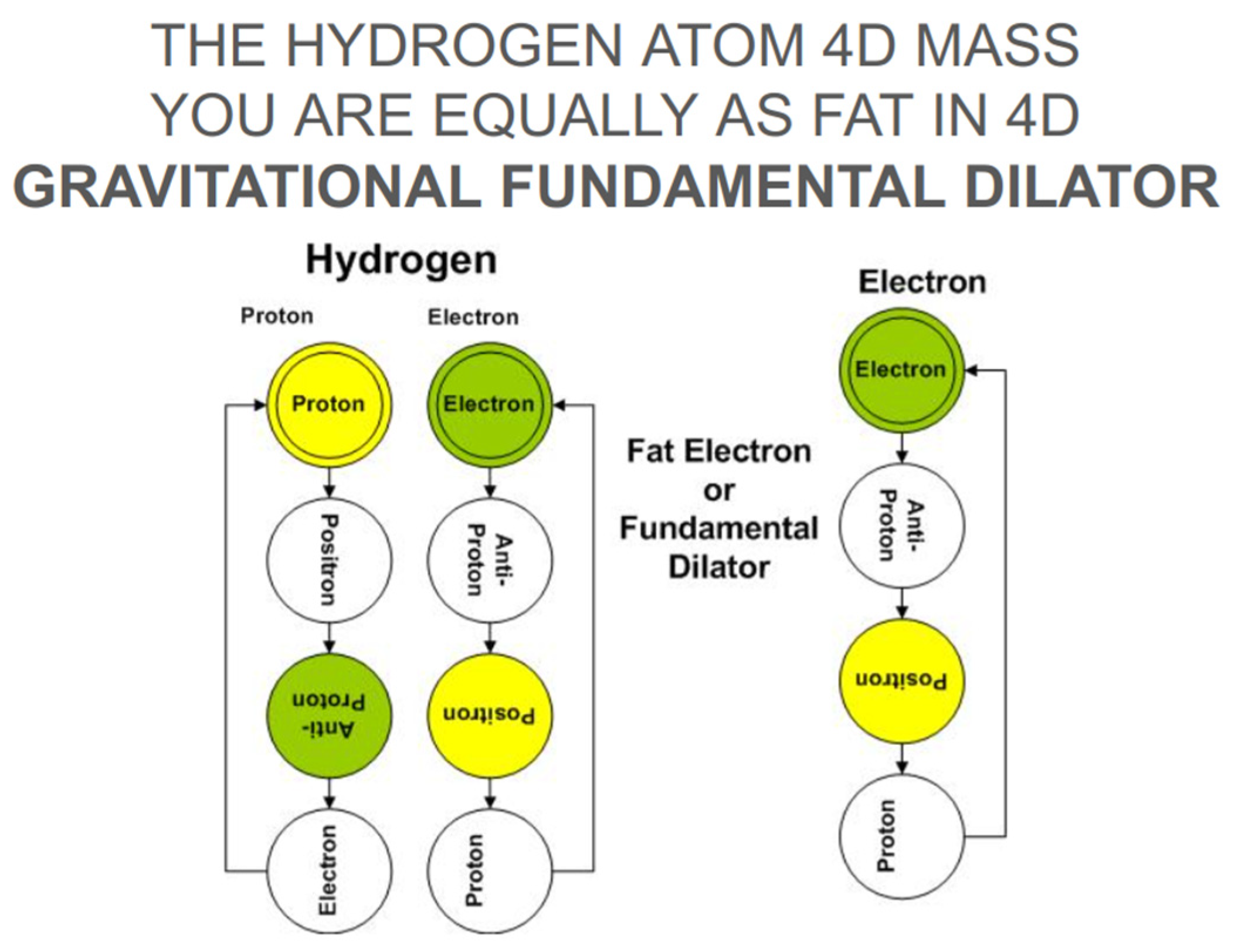 Preprints 138874 g008
