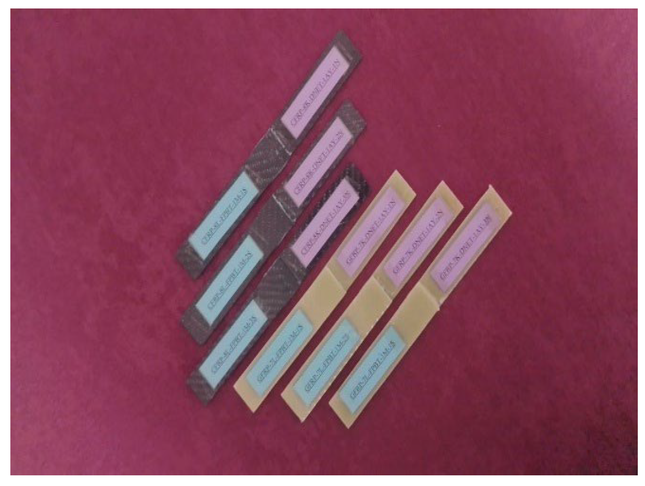 Preprints 184683 g008