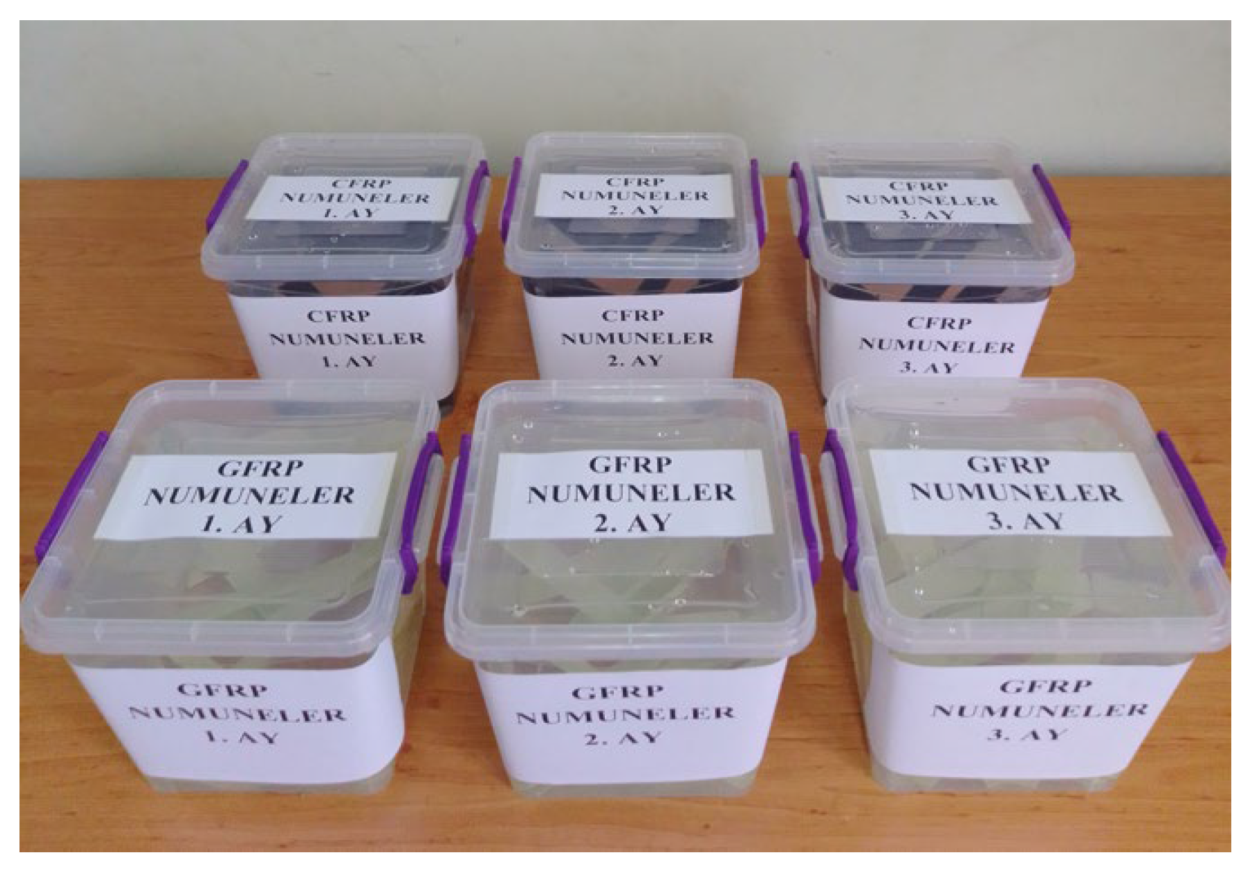 Preprints 184683 g011