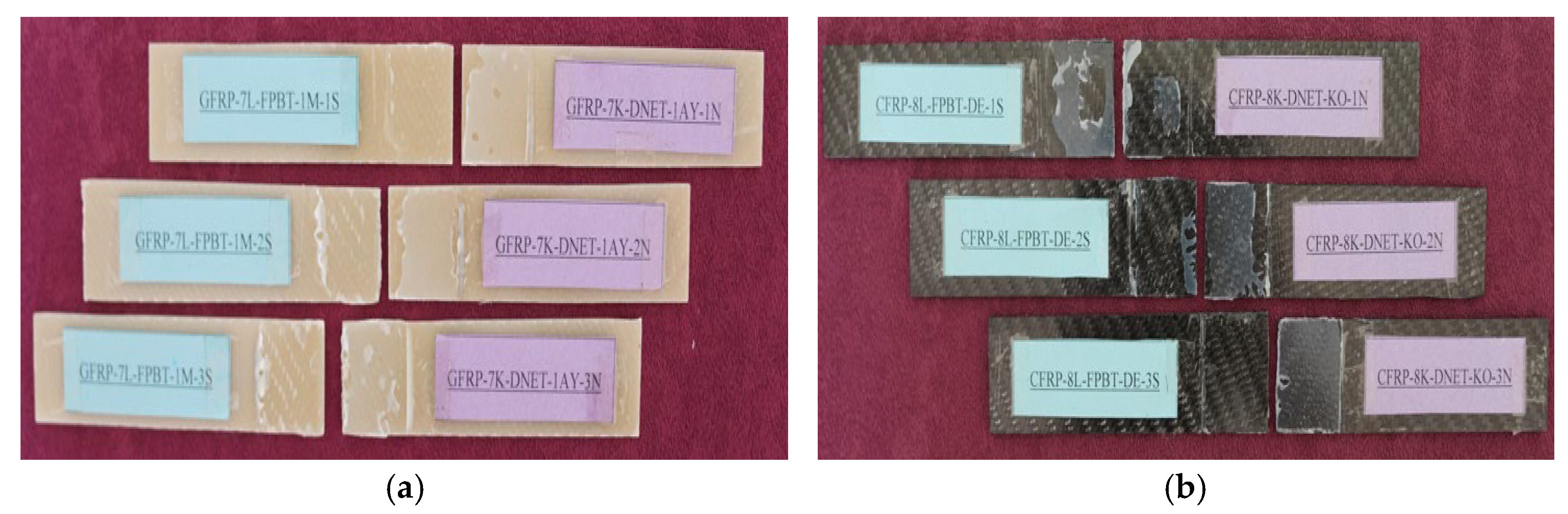 Preprints 184683 g022