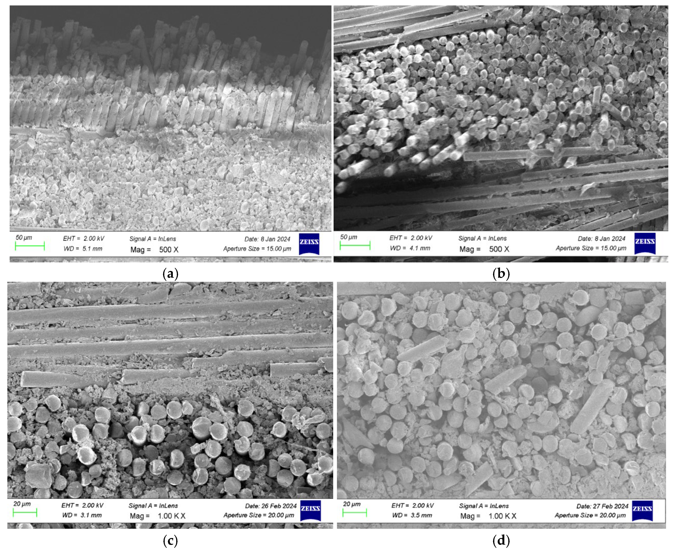 Preprints 184683 g028