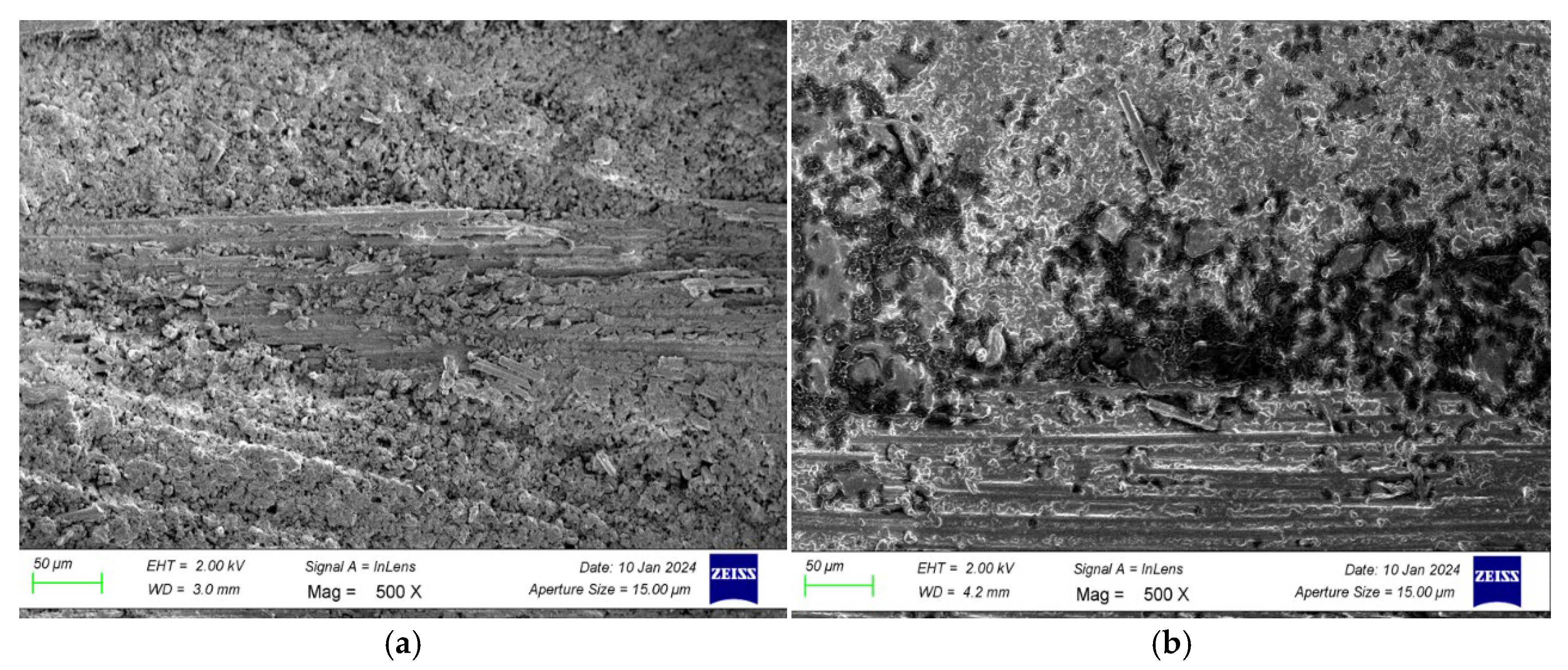 Preprints 184683 g029a
