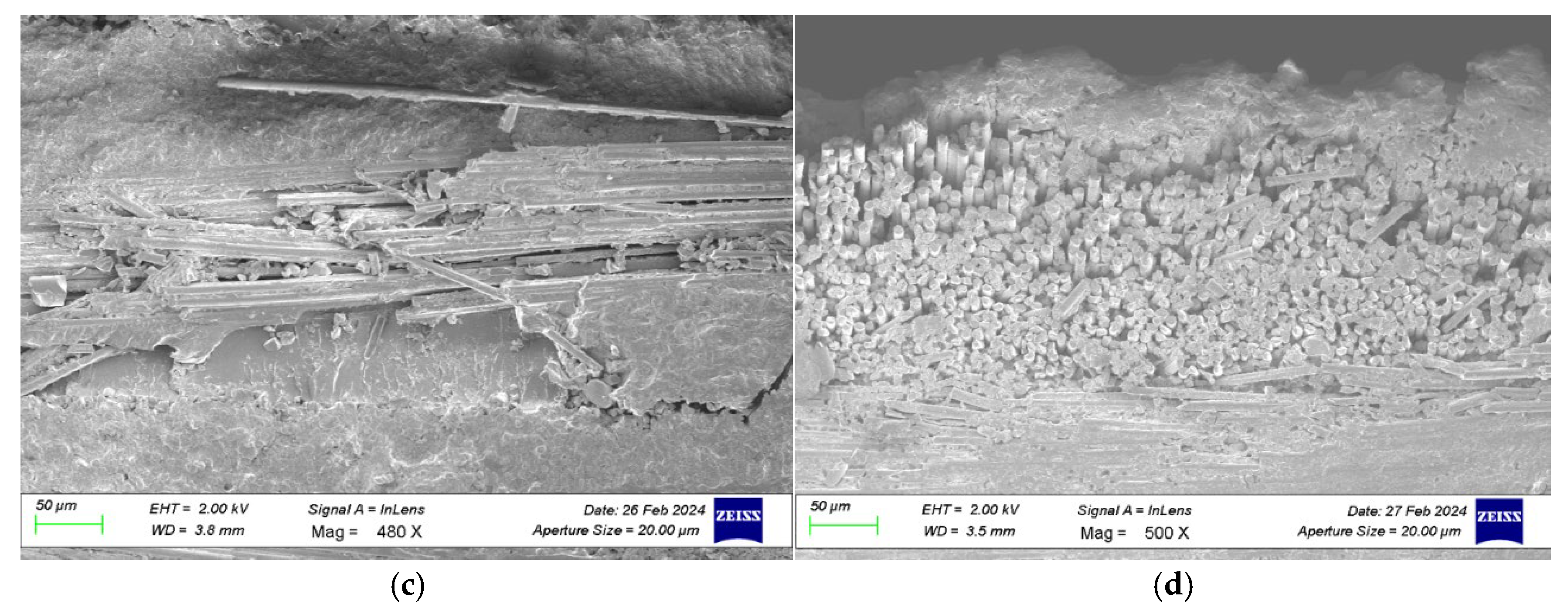 Preprints 184683 g029b