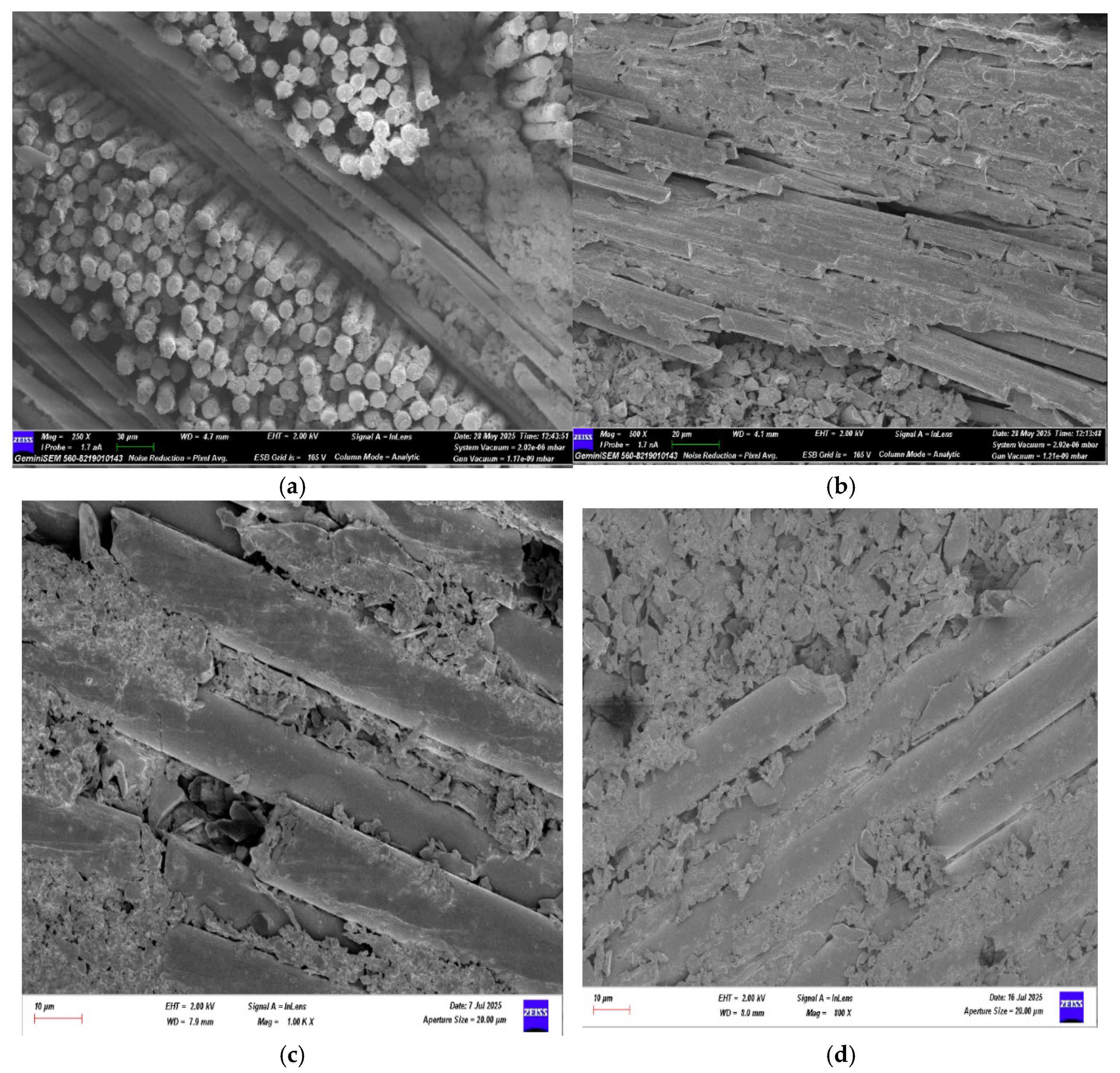 Preprints 184683 g030