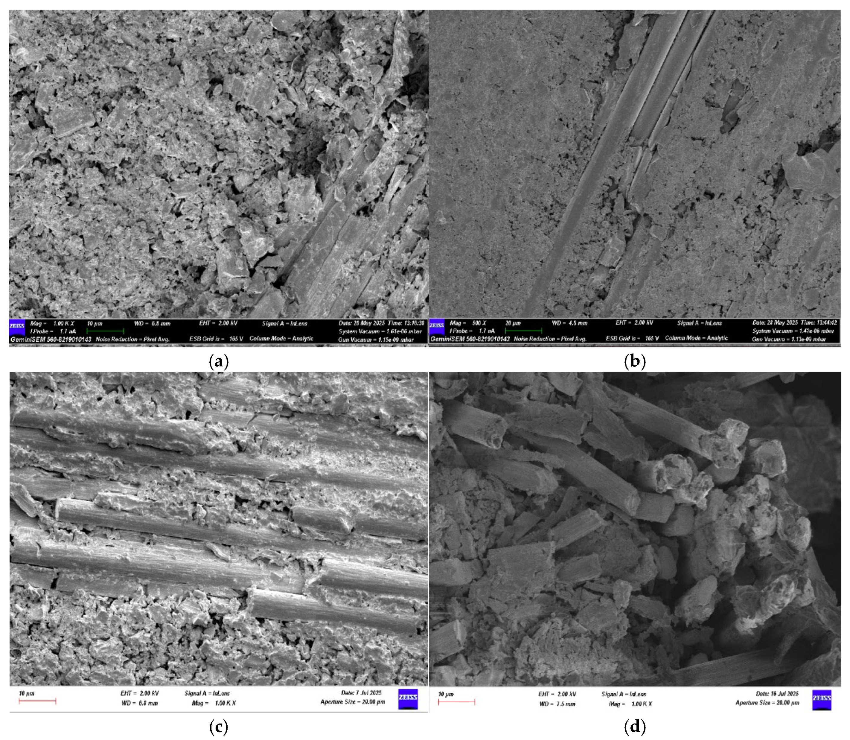 Preprints 184683 g031