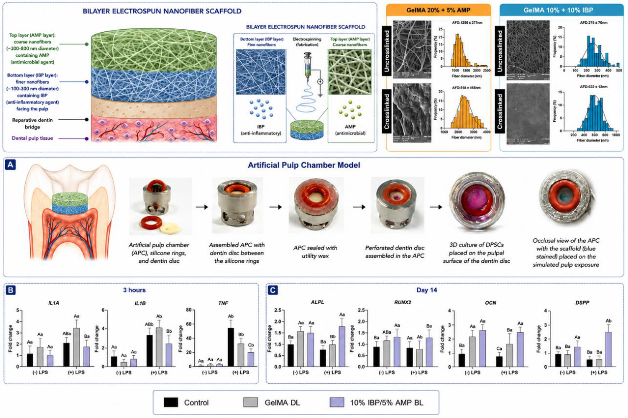 Preprints 230120 g004 Preprints 230120 g004